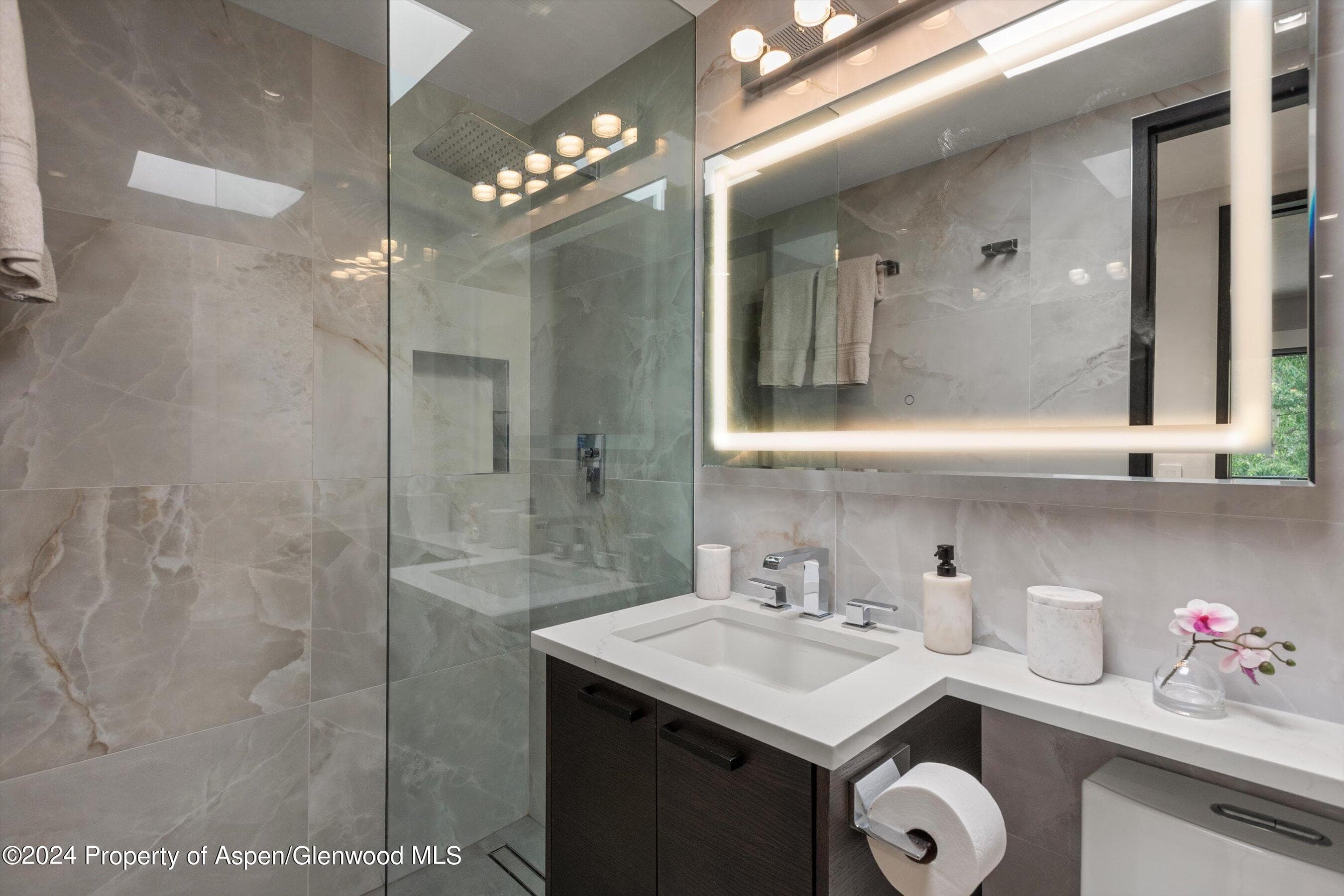 100 E Dean Street 3a, Aspen, CO 81611 - Photo 18