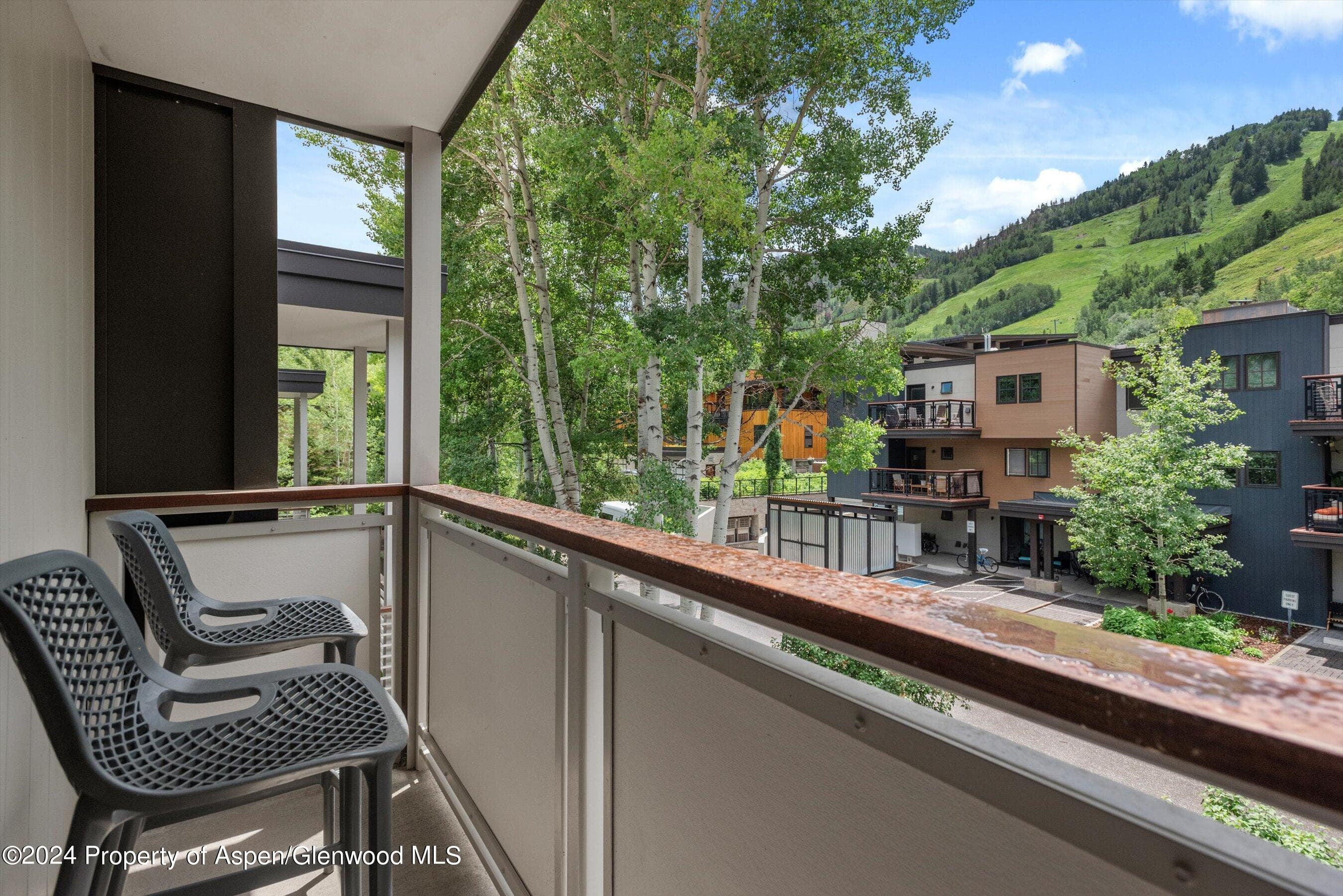 100 E Dean Street 3a, Aspen, CO 81611 - Photo 19