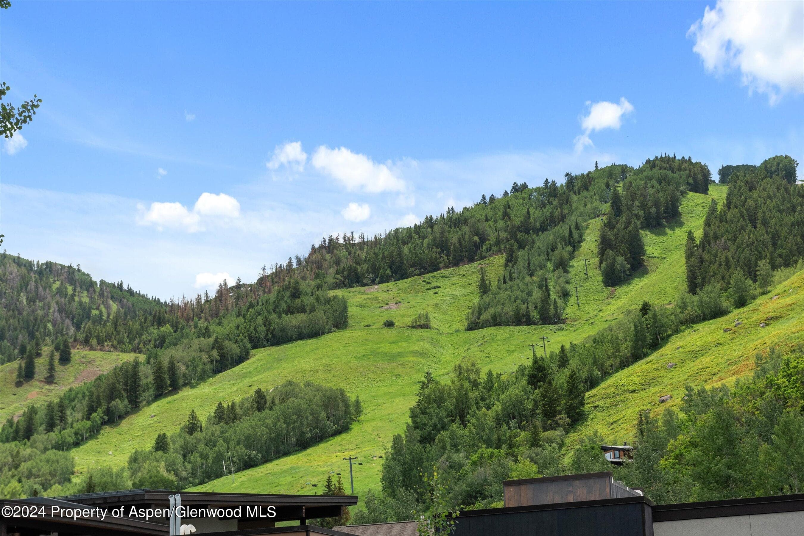 100 E Dean Street 3a, Aspen, CO 81611 - Photo 20