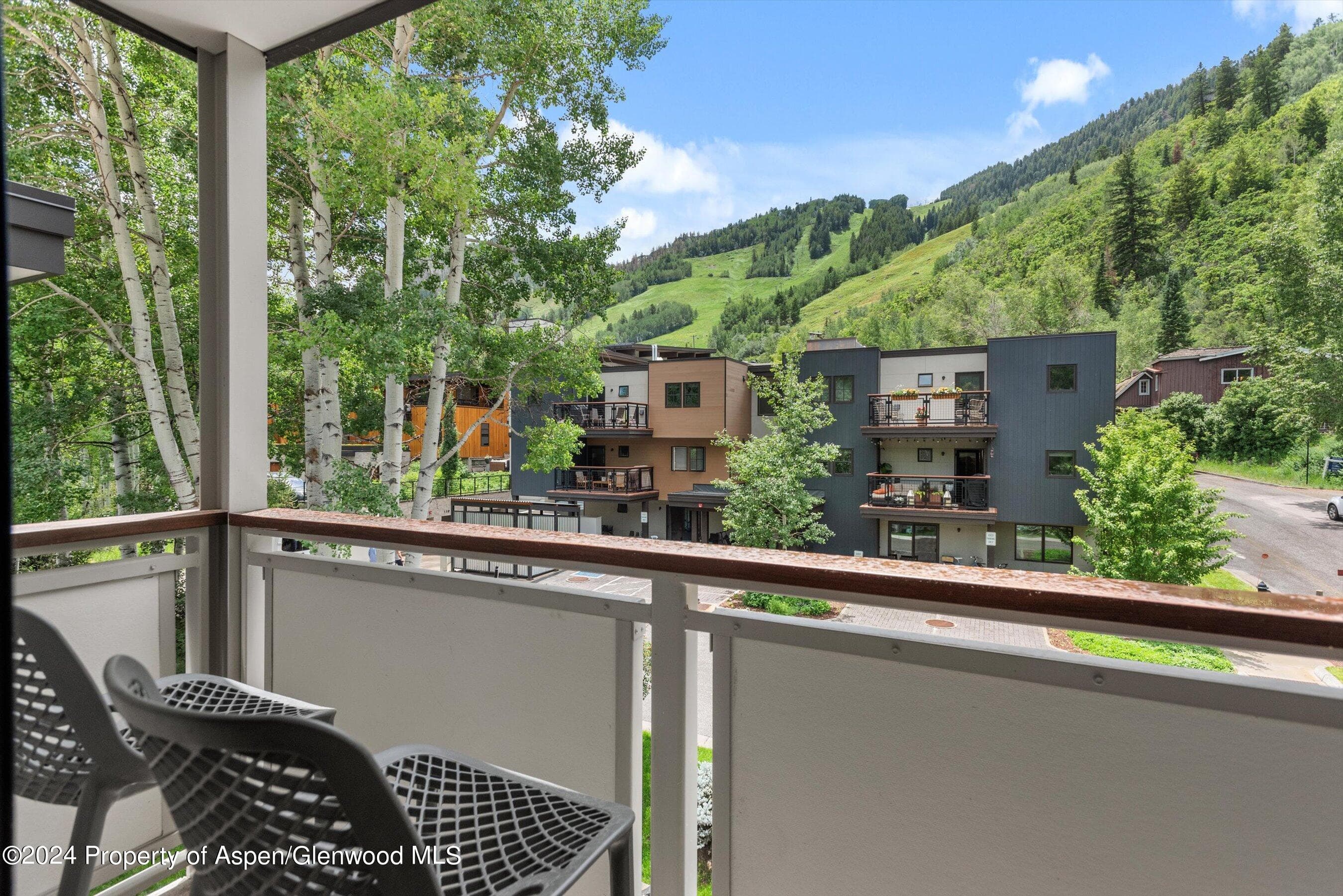 100 E Dean Street 3a, Aspen, CO 81611 - Photo 21