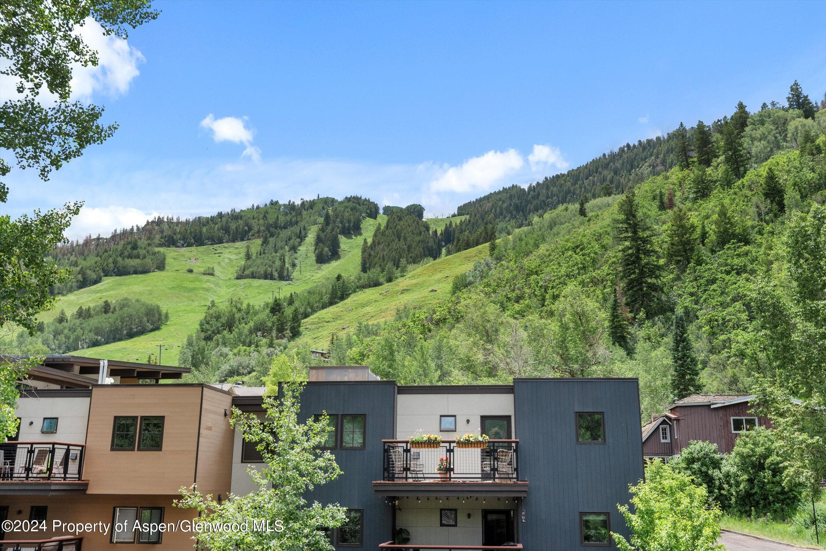 100 E Dean Street 3a, Aspen, CO 81611 - Photo 22
