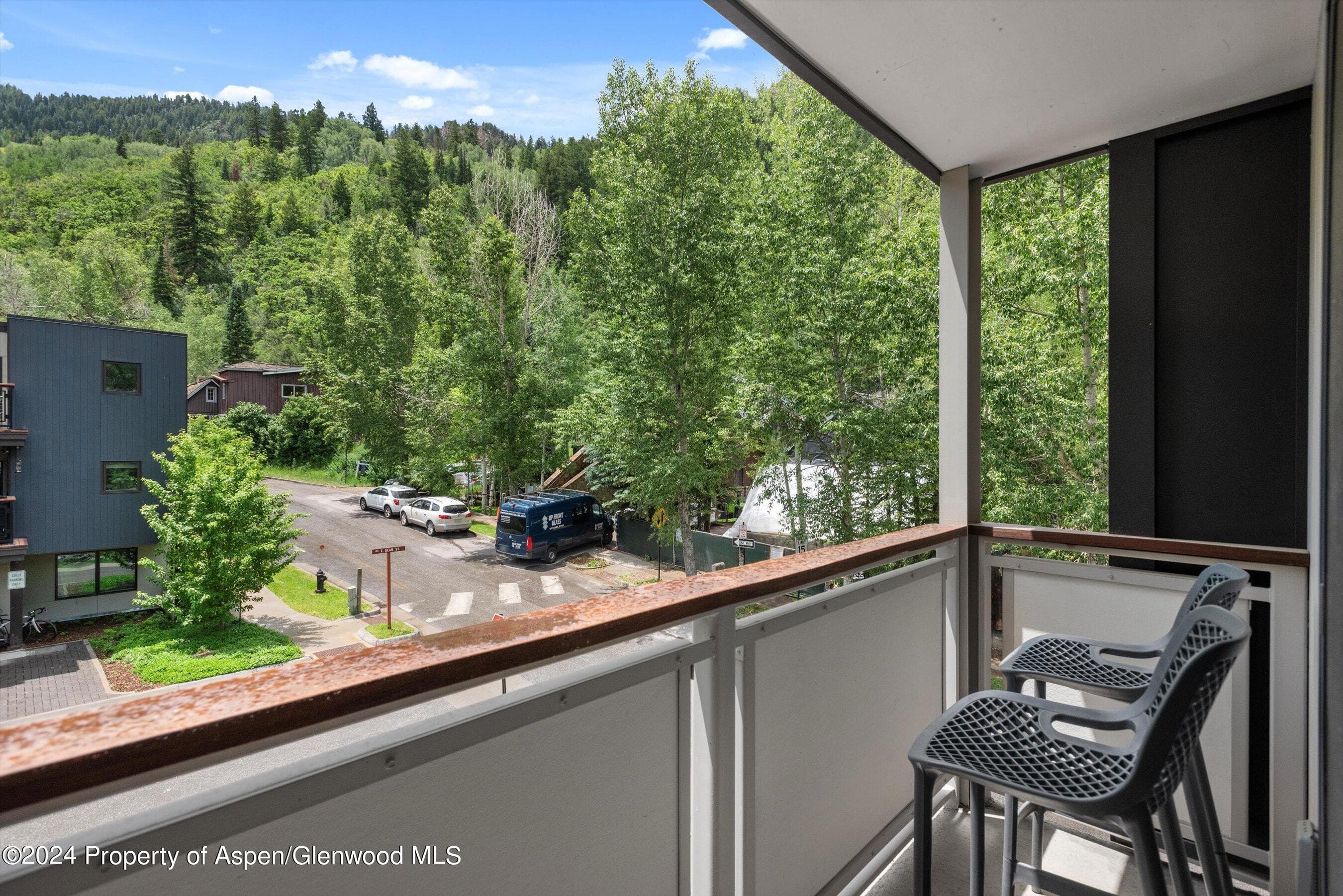 100 E Dean Street 3a, Aspen, CO 81611 - Photo 23