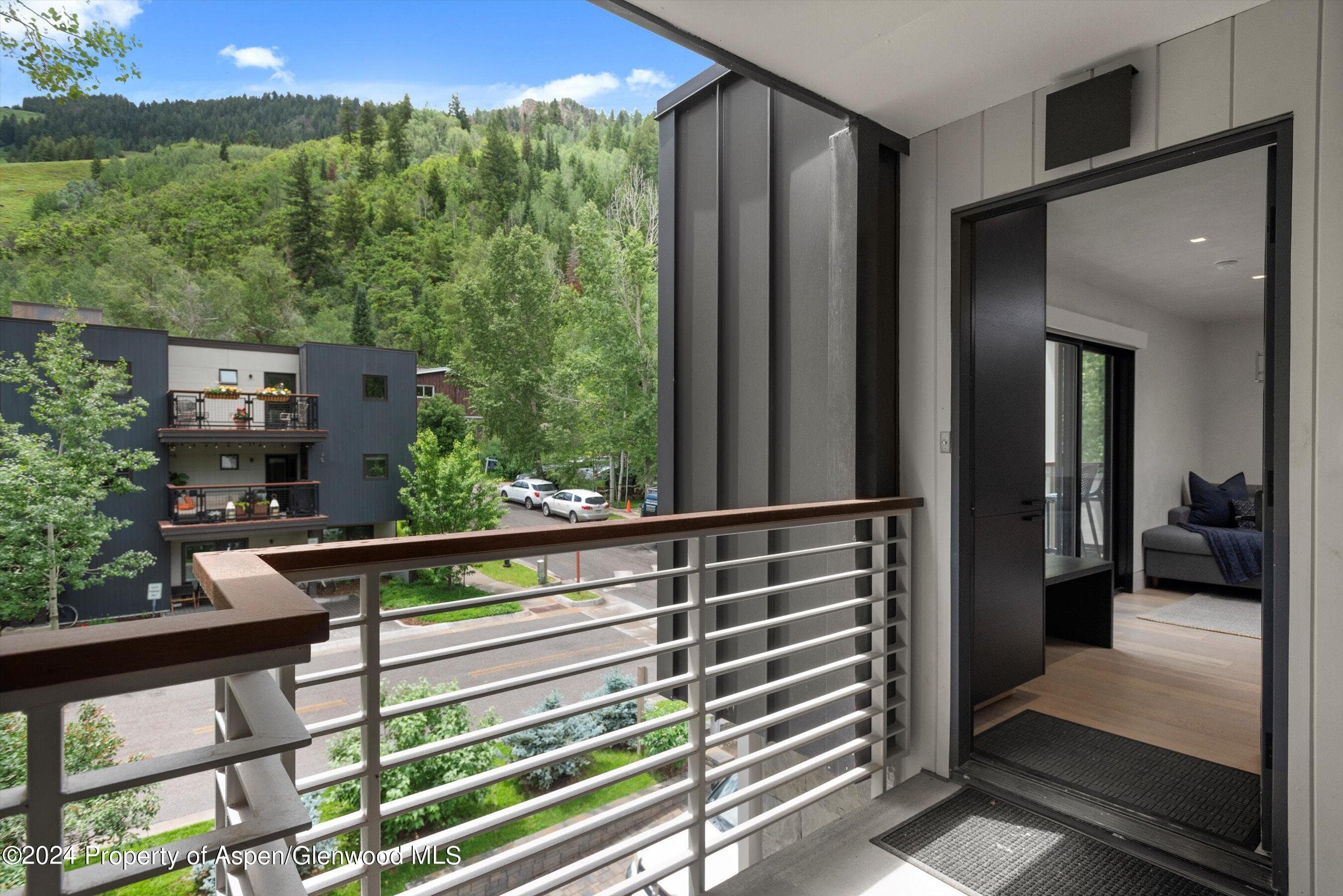 100 E Dean Street 3a, Aspen, CO 81611 - Photo 24