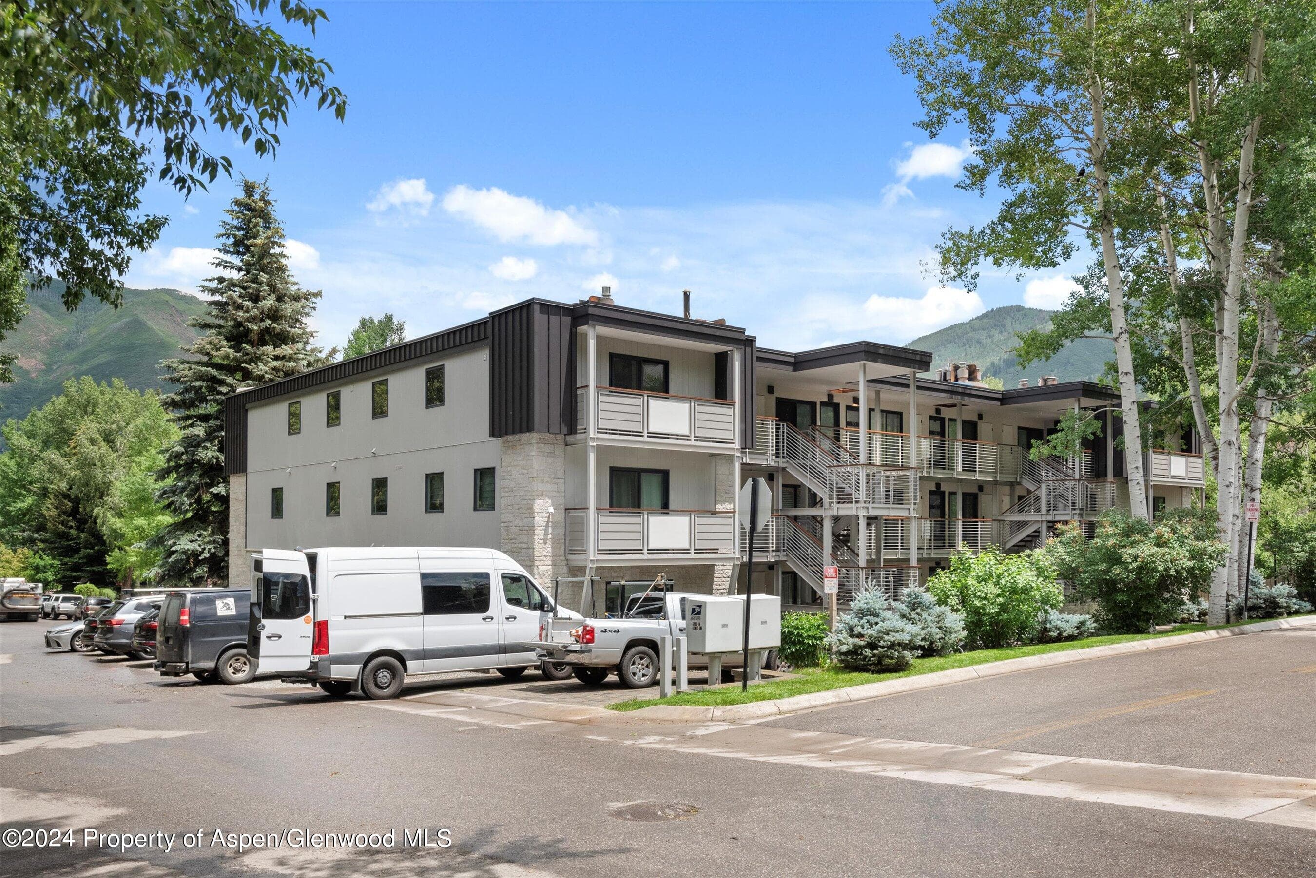 100 E Dean Street 3a, Aspen, CO 81611 - Photo 25