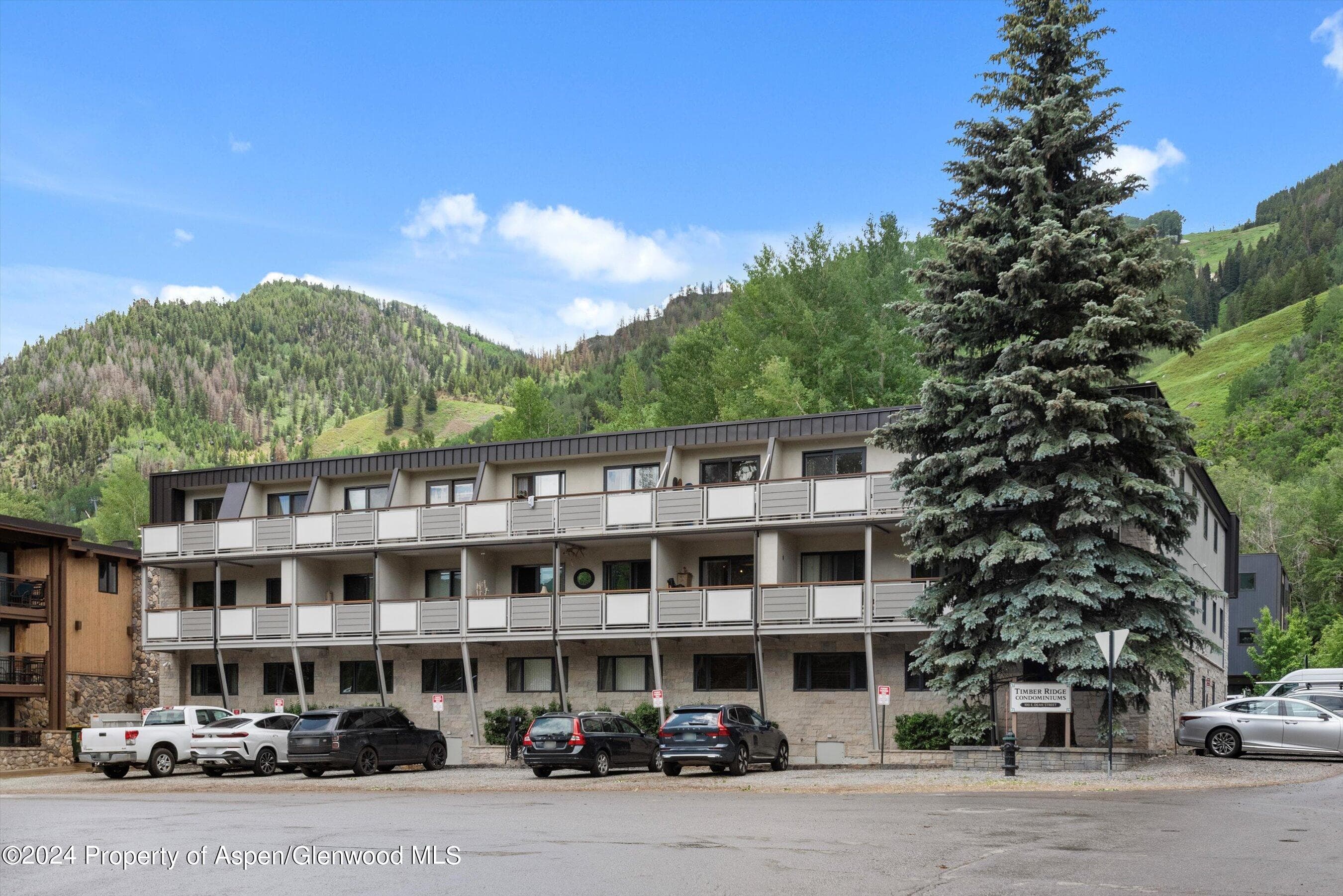 100 E Dean Street 3a, Aspen, CO 81611 - Photo 27