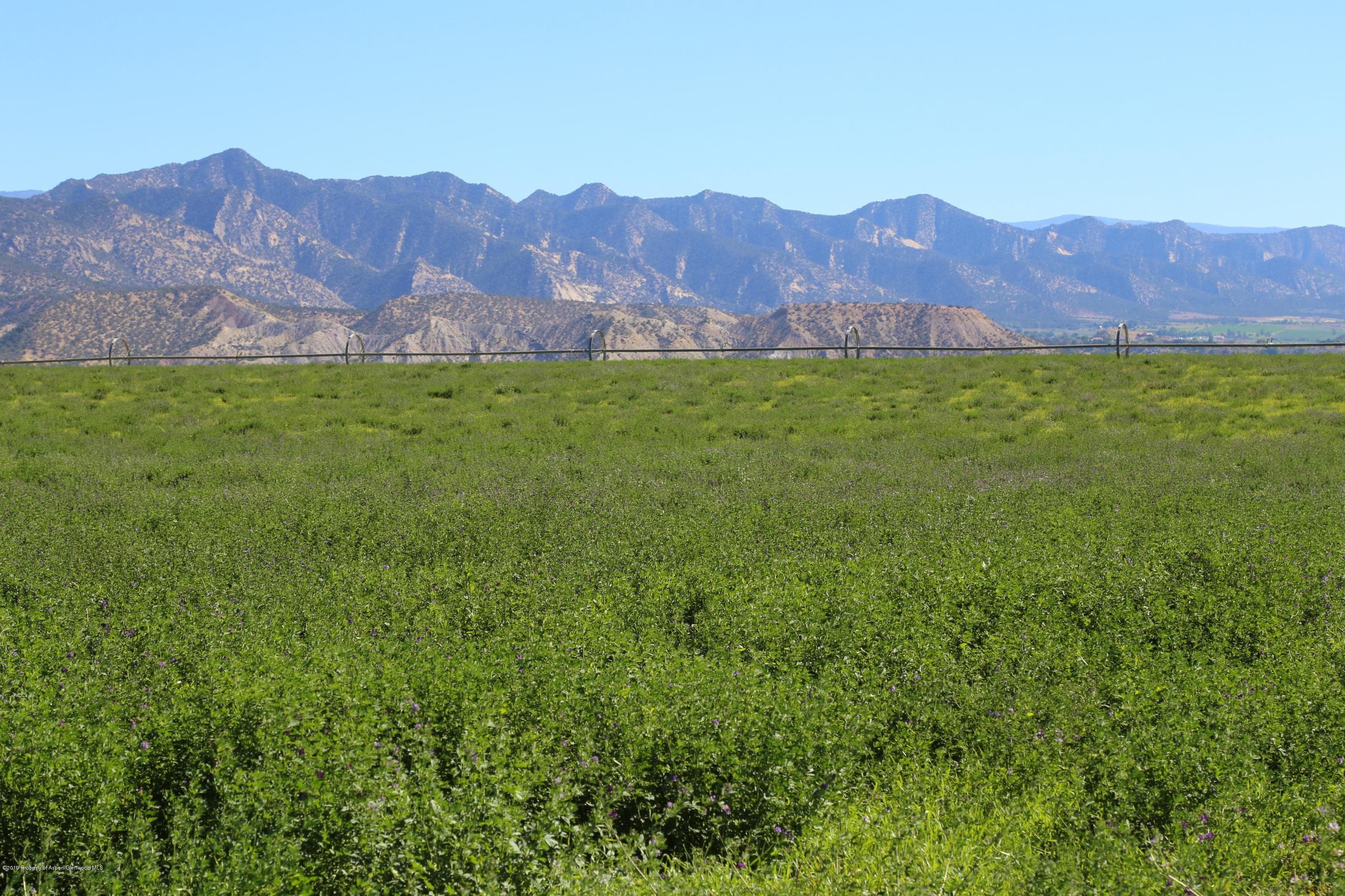 Tbd County Road 233, Rifle, CO 81650 - Photo 14