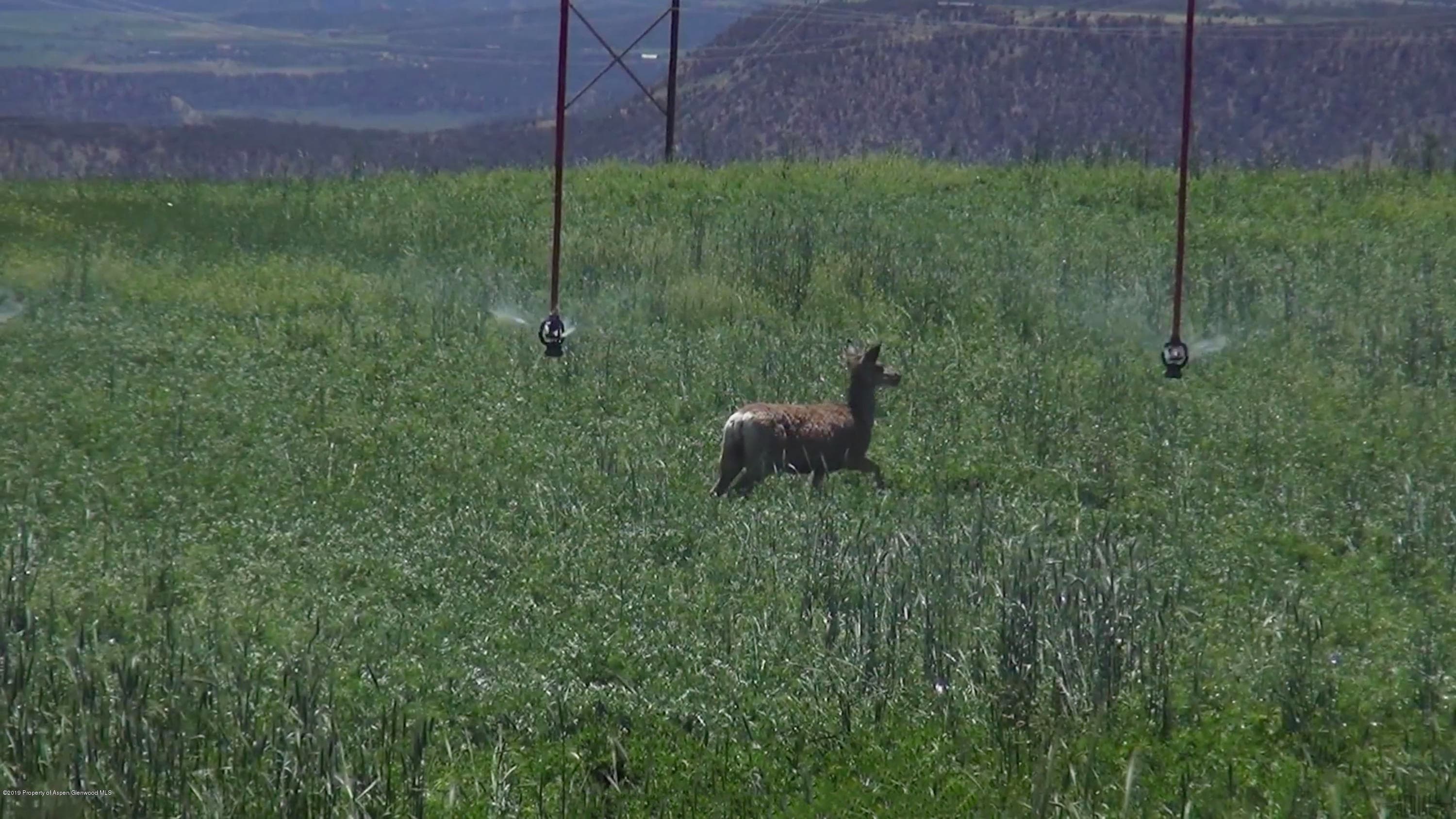 Tbd County Road 233, Rifle, CO 81650 - Photo 19