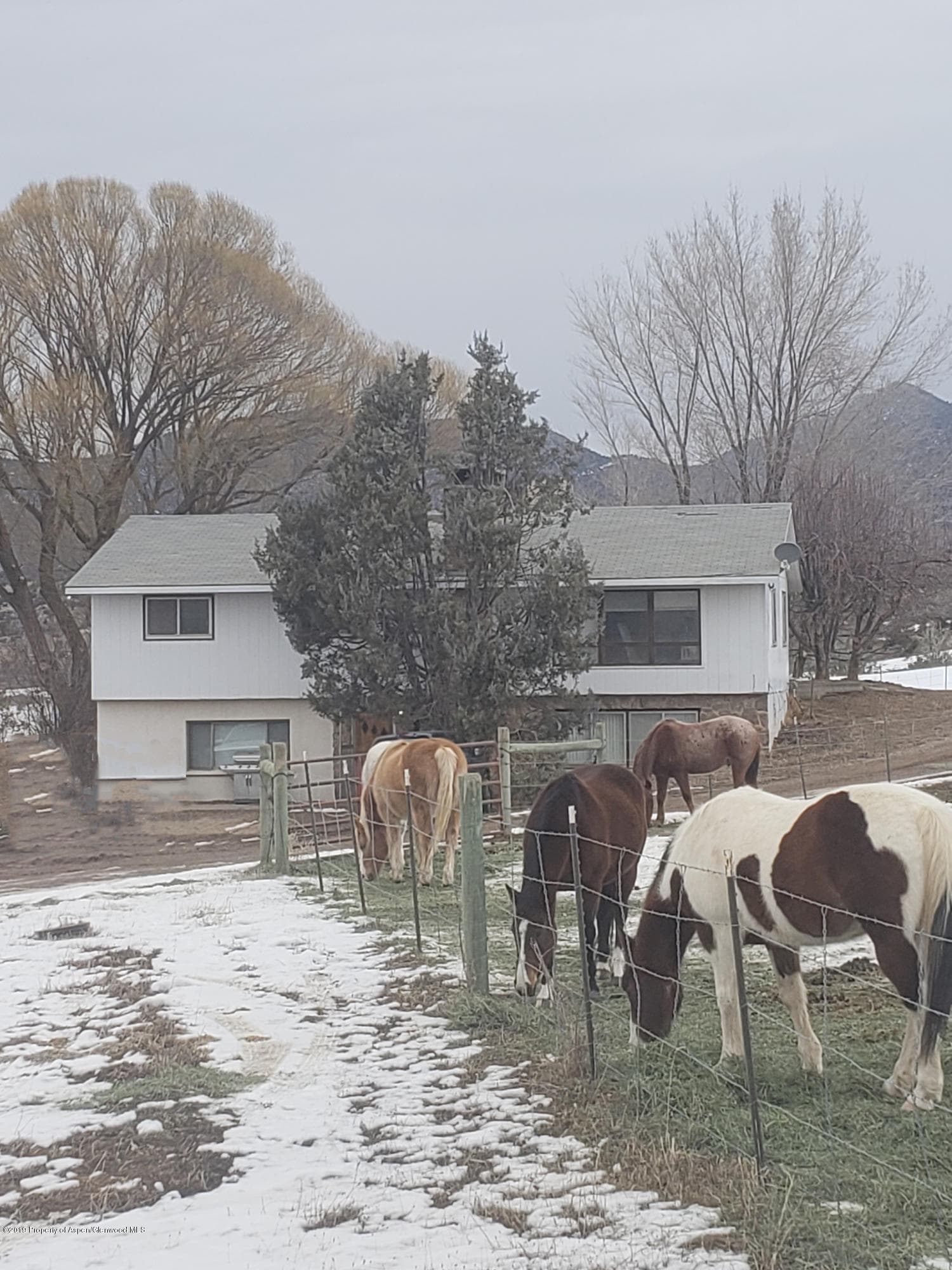 Tbd County Road 233, Rifle, CO 81650 - Photo 32