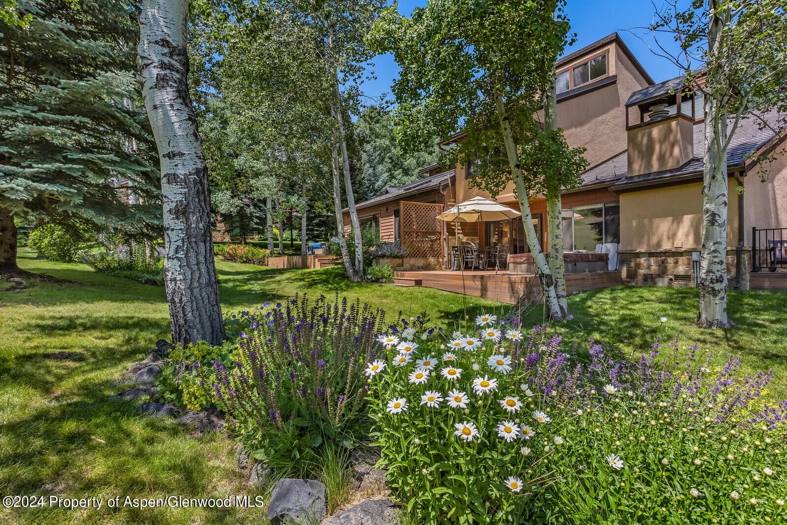 52 Harleston Green 39, Snowmass Village, CO 81615 - Photo 12