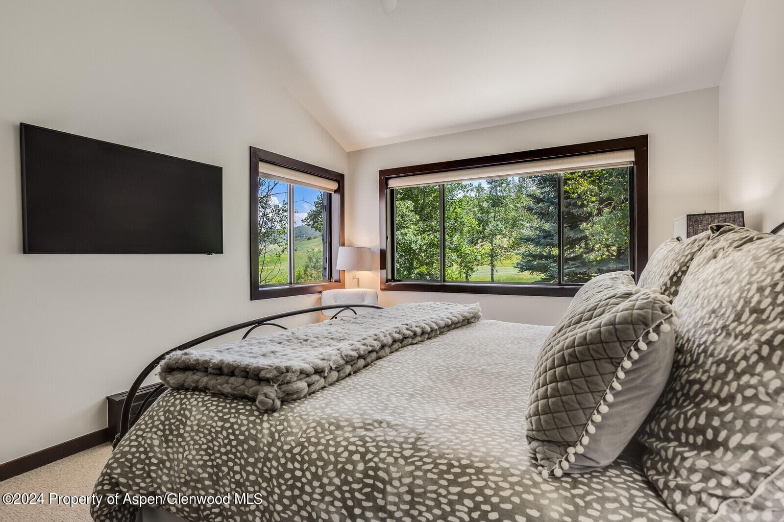 52 Harleston Green 39, Snowmass Village, CO 81615 - Photo 26