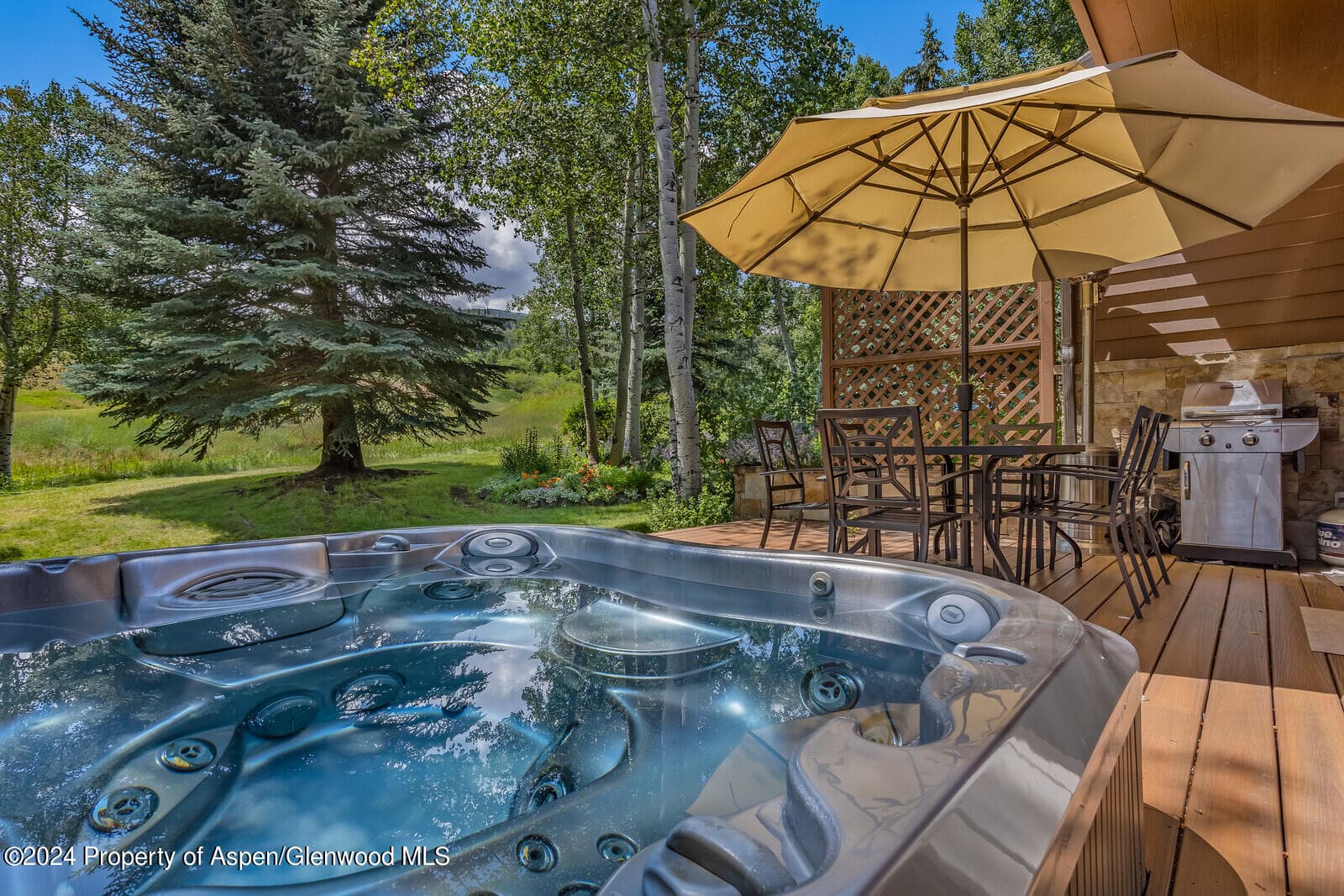 52 Harleston Green 39, Snowmass Village, CO 81615 - Photo 10