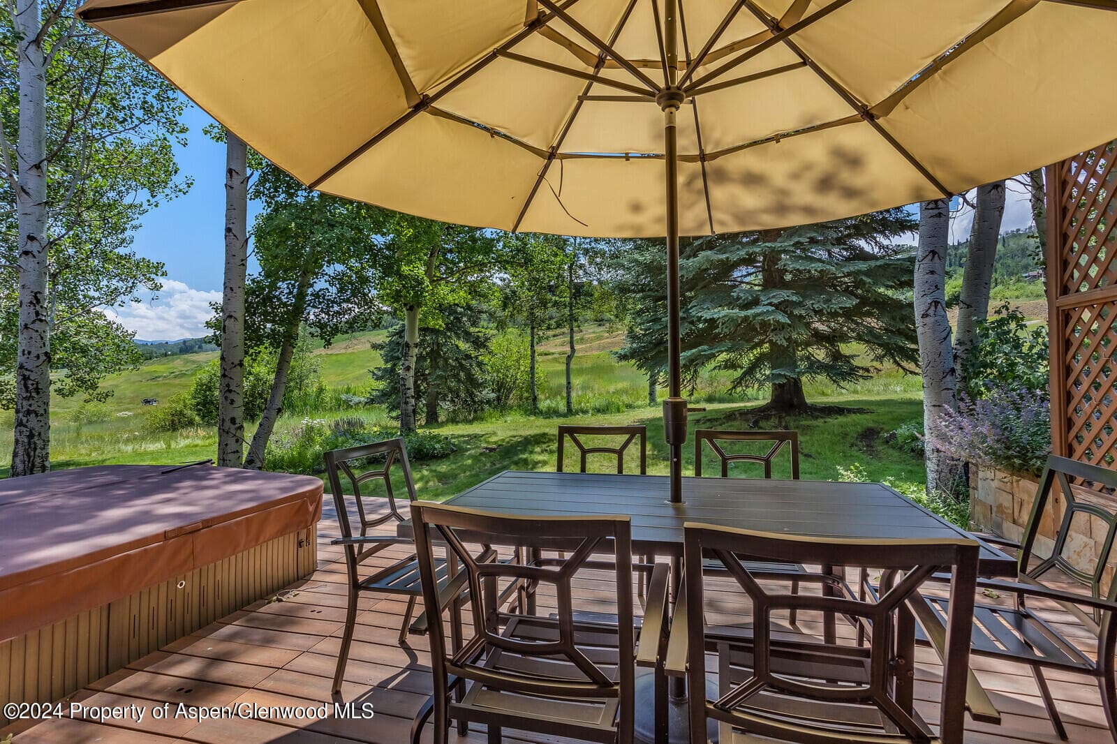 52 Harleston Green 39, Snowmass Village, CO 81615 - Photo 8