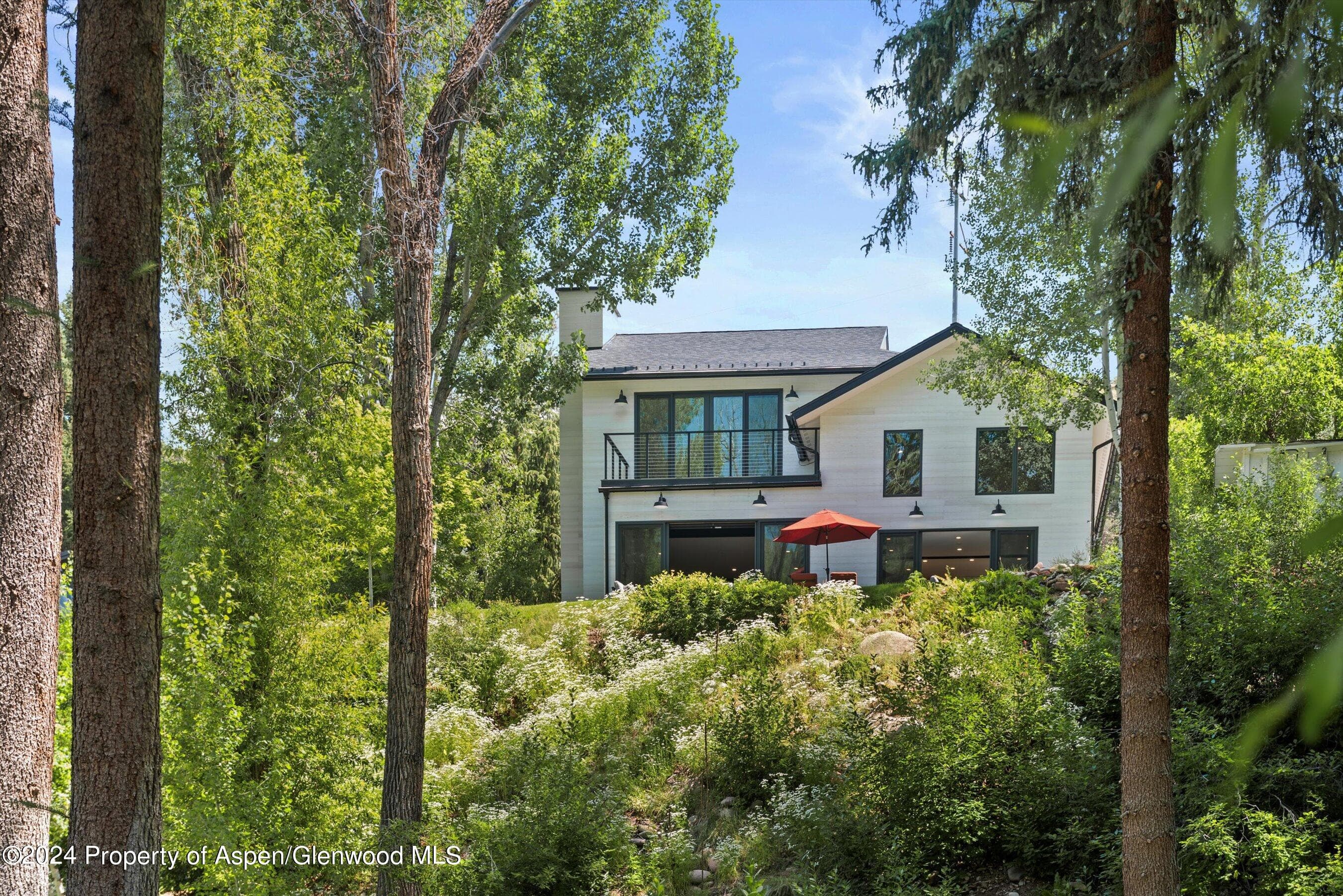 117 S Little Texas Lane, Woody Creek, CO 81656