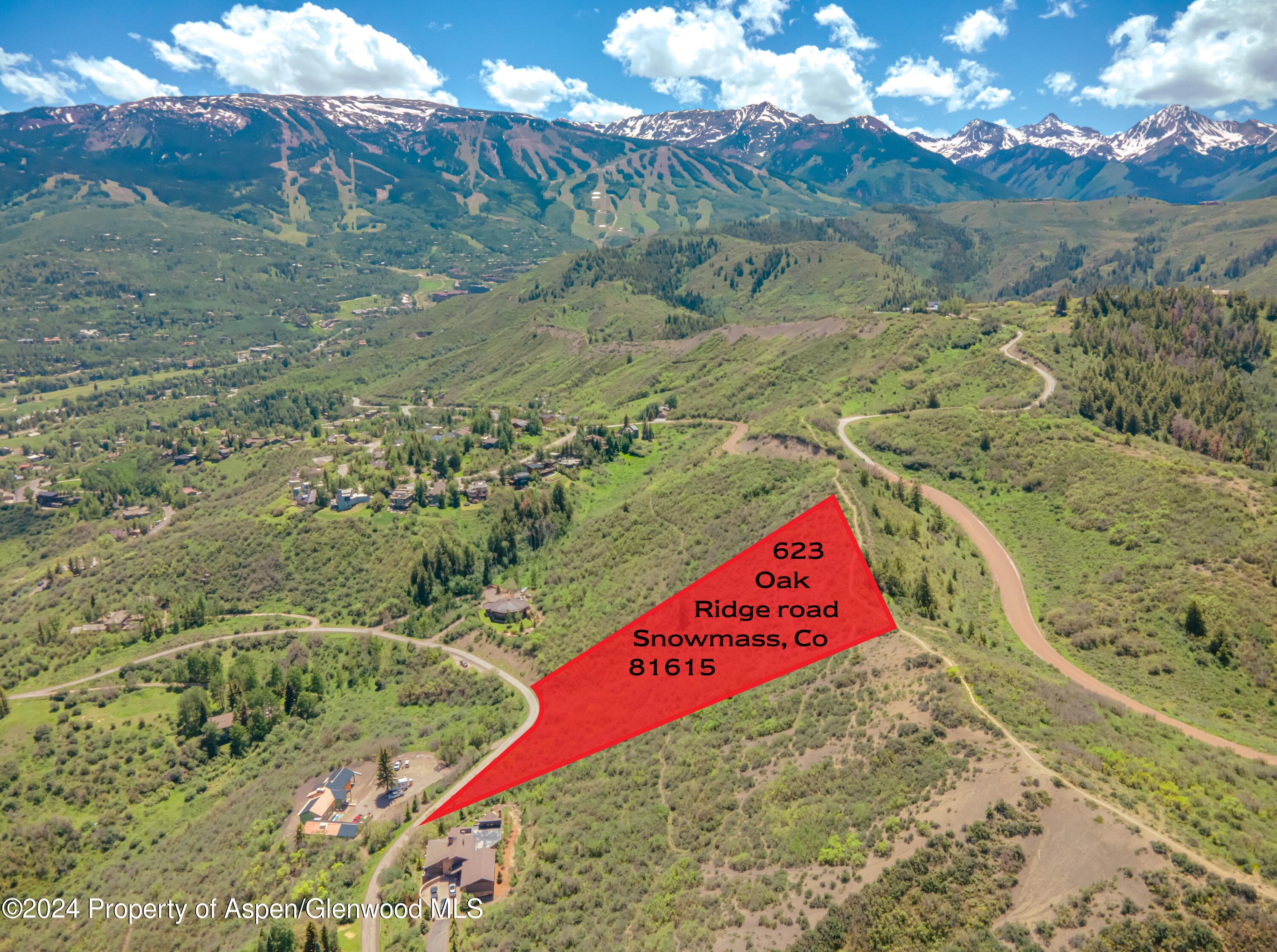 623 Oak Ridge Road, Snowmass Village, CO 81615 - Photo 8
