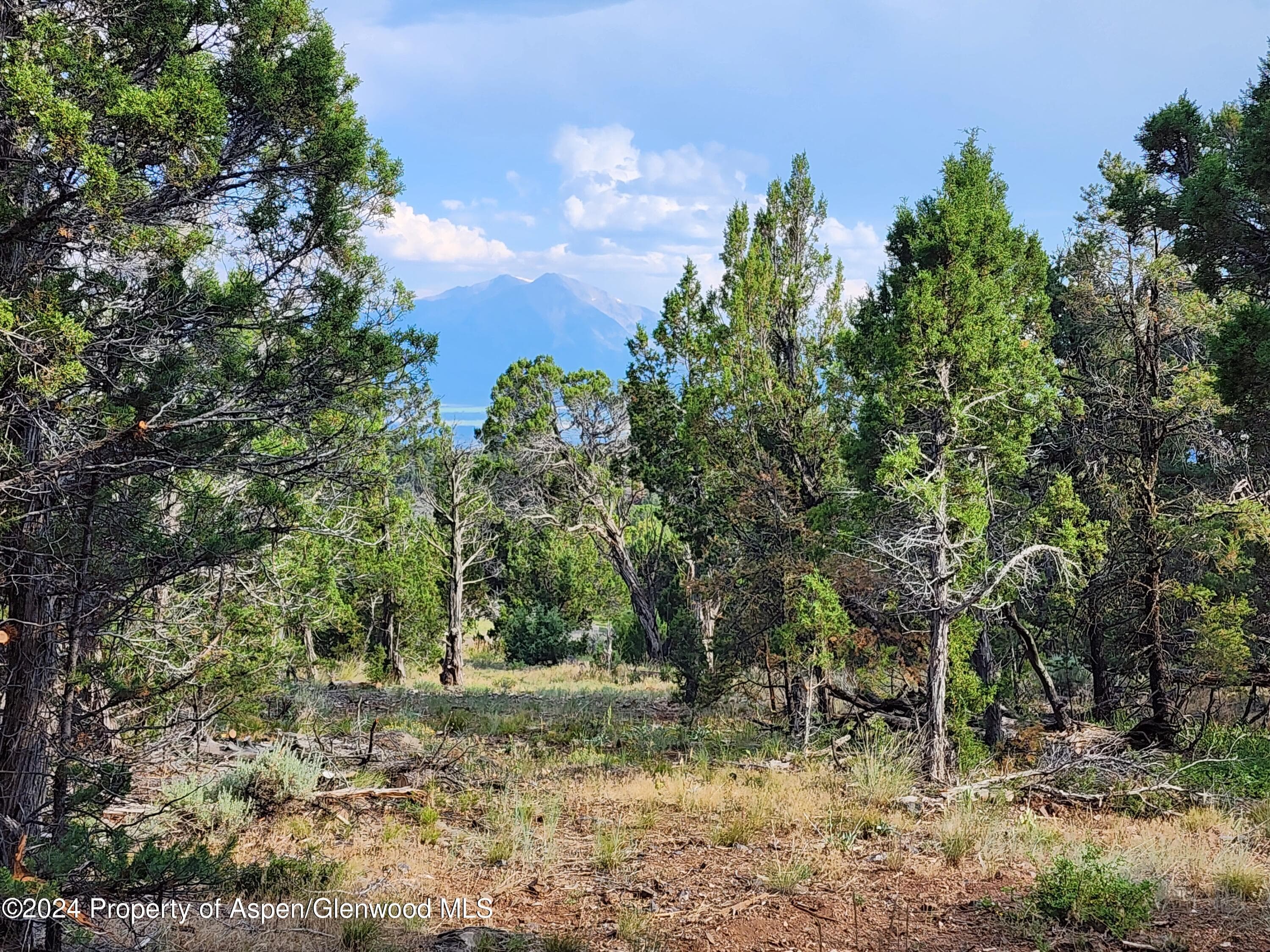 3292 Elk Springs Drive, Glenwood Springs, CO 81601 - Photo 2