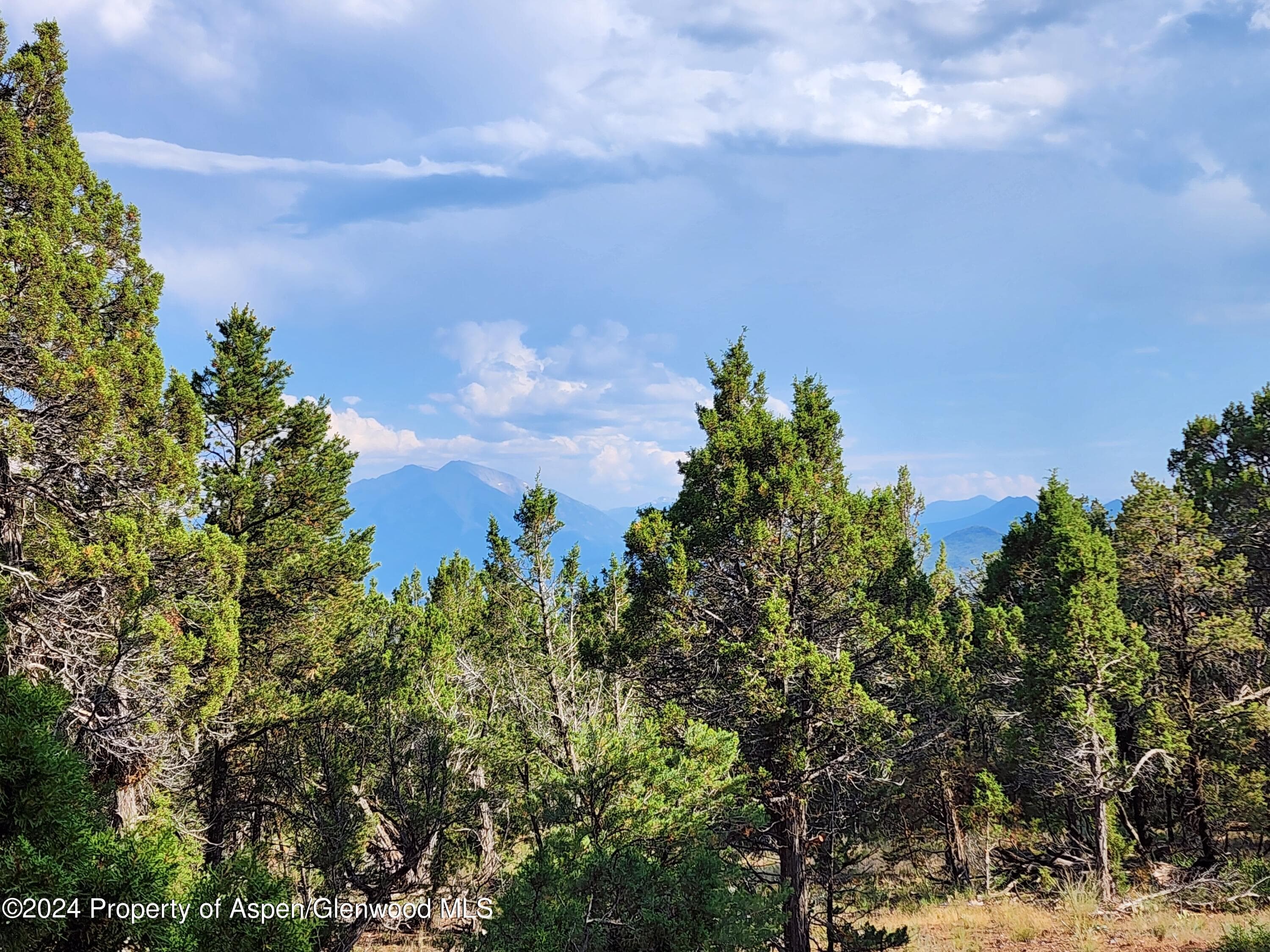 3292 Elk Springs Drive, Glenwood Springs, CO 81601 - Photo 7