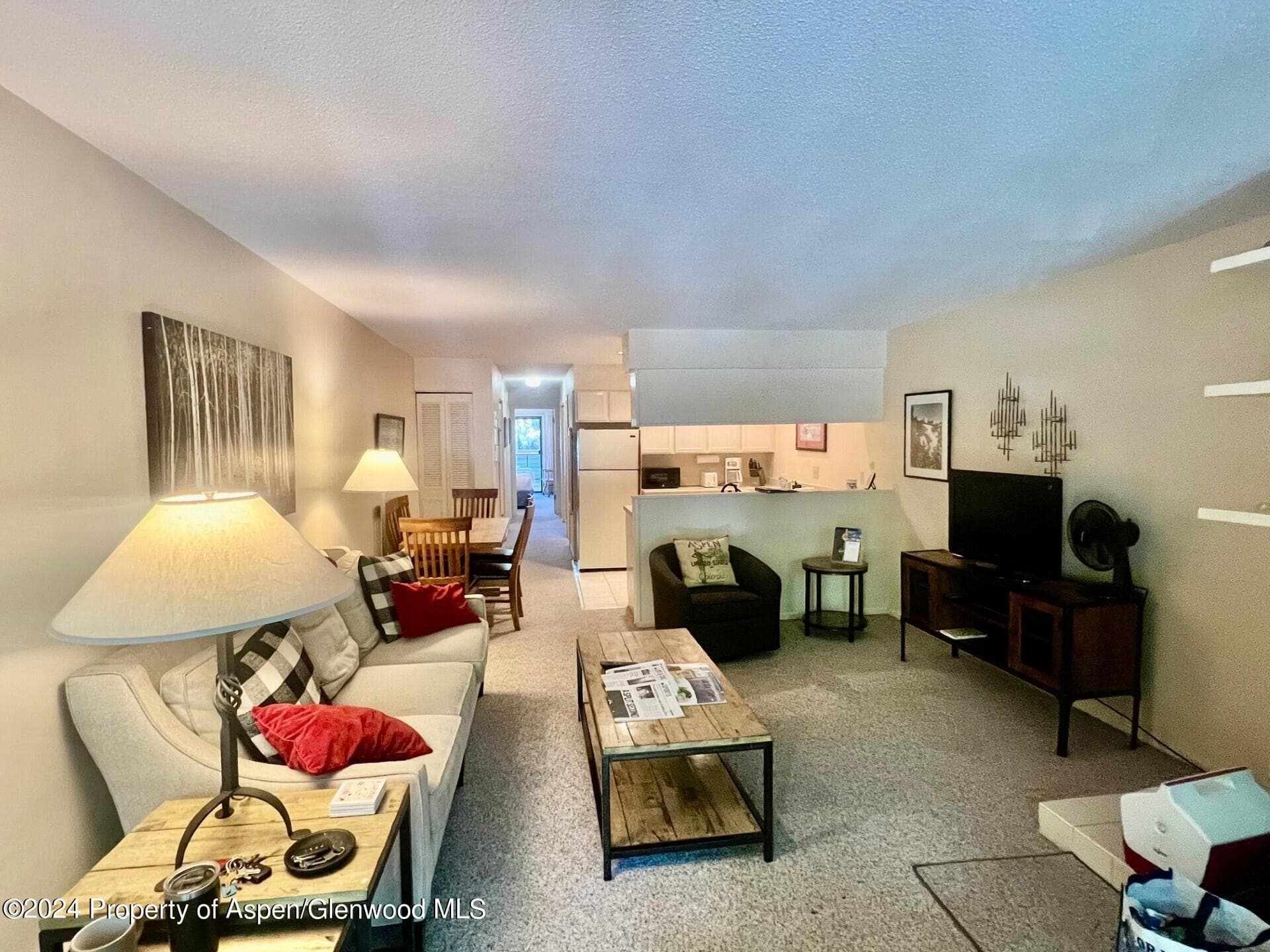 210 E Cooper Avenue 2D, Aspen, CO 81611 - Photo 7
