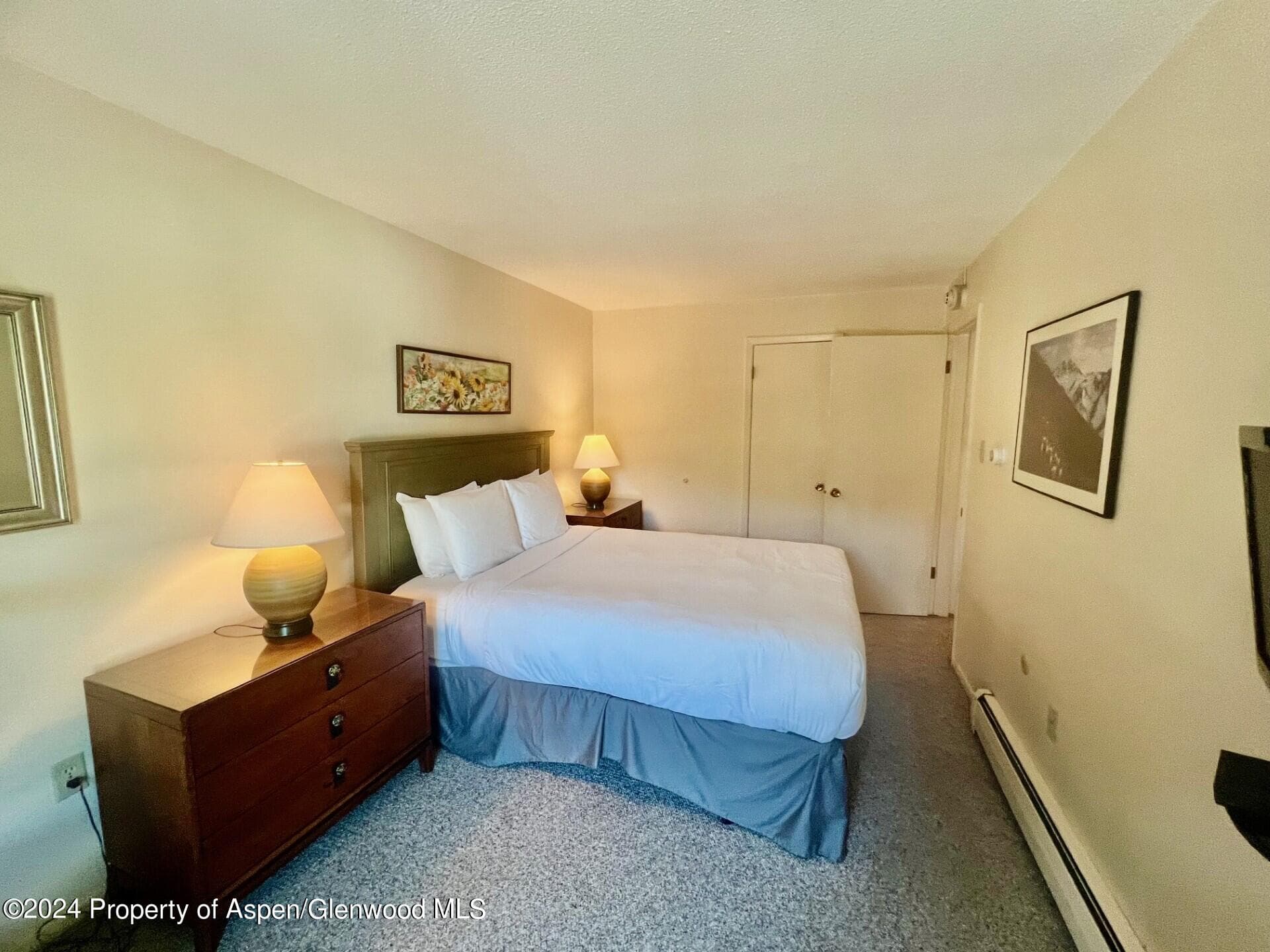 210 E Cooper Avenue 2D, Aspen, CO 81611 - Photo 12