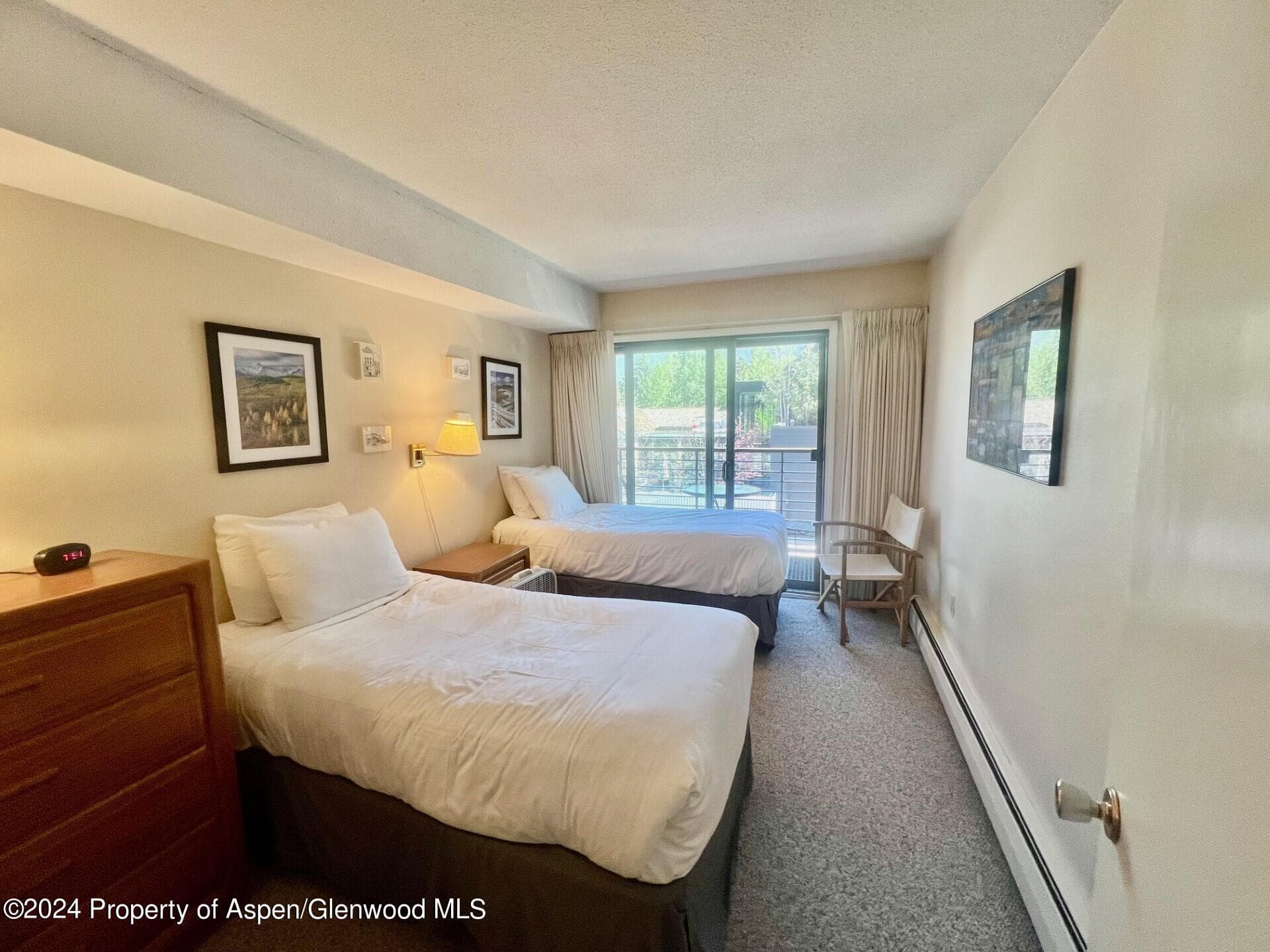 210 E Cooper Avenue 2D, Aspen, CO 81611 - Photo 13