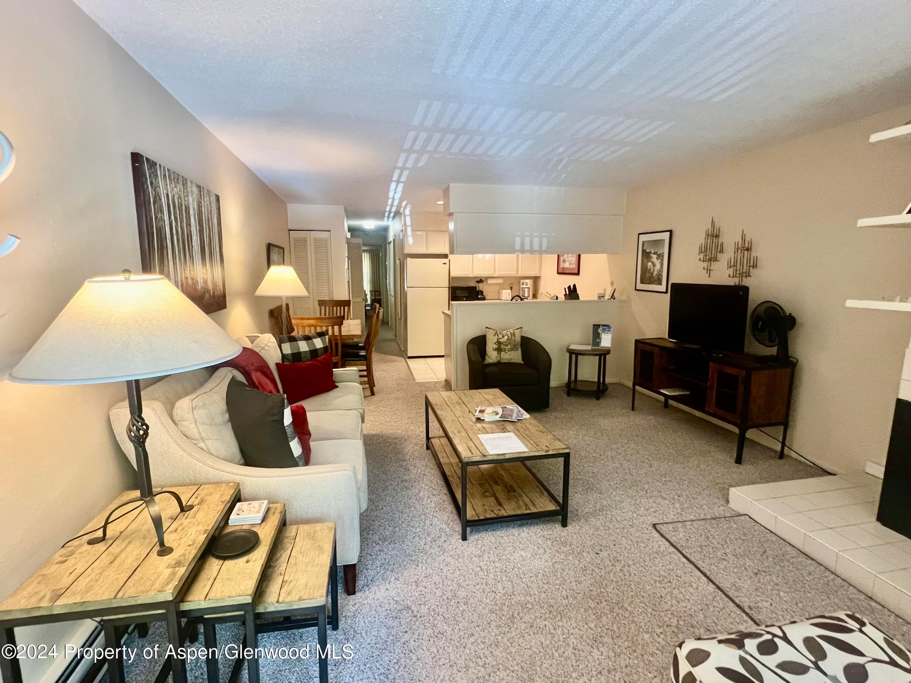 210 E Cooper Avenue 2D, Aspen, CO 81611 - Photo 9