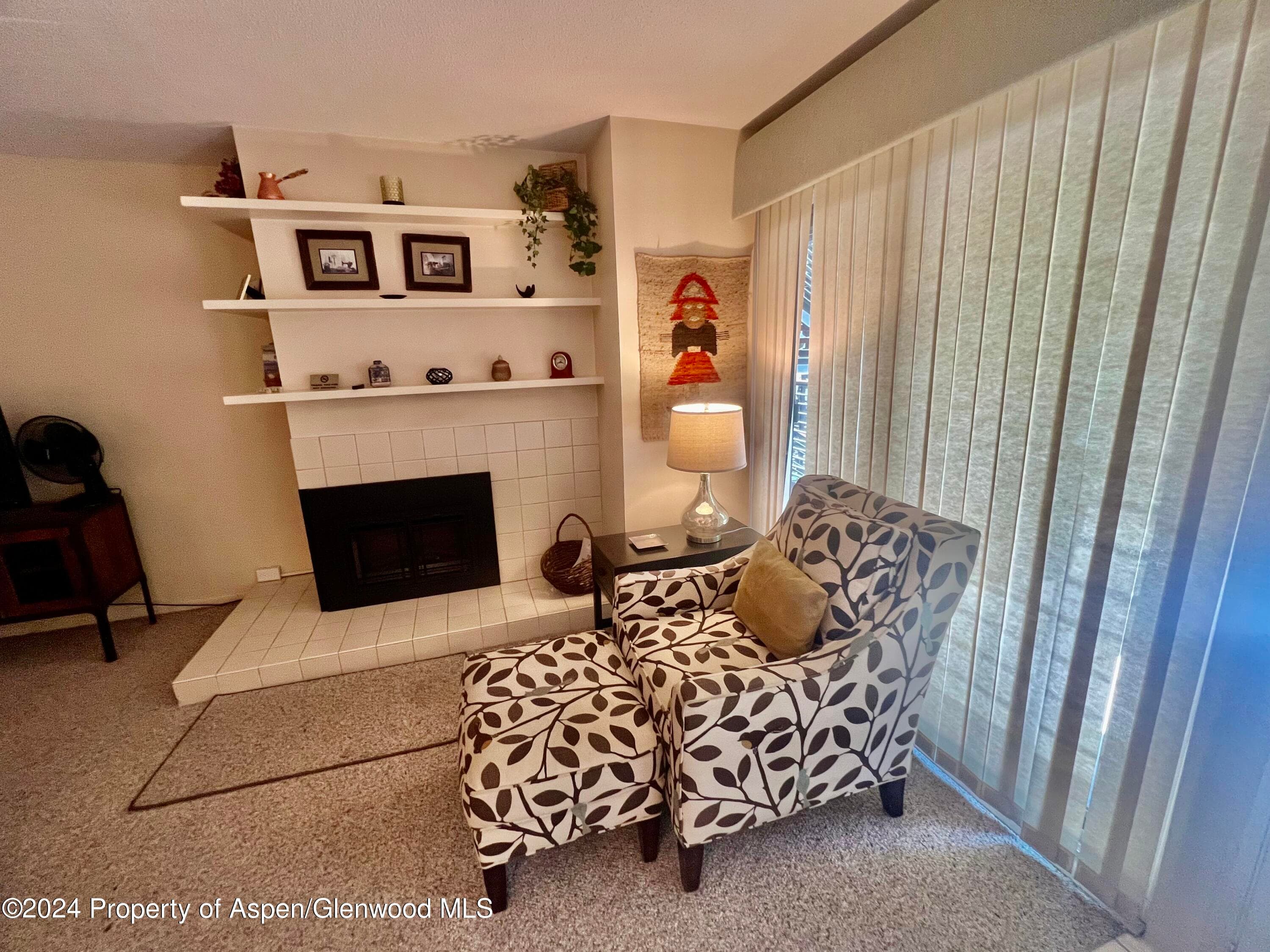 210 E Cooper Avenue 2D, Aspen, CO 81611 - Photo 10