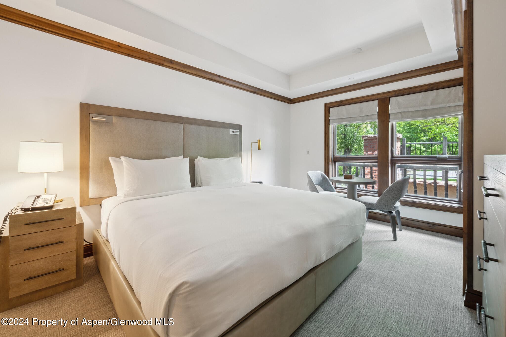 415 E Dean St, Unit 23B, Week 26, Aspen, CO 81611 - Photo 8