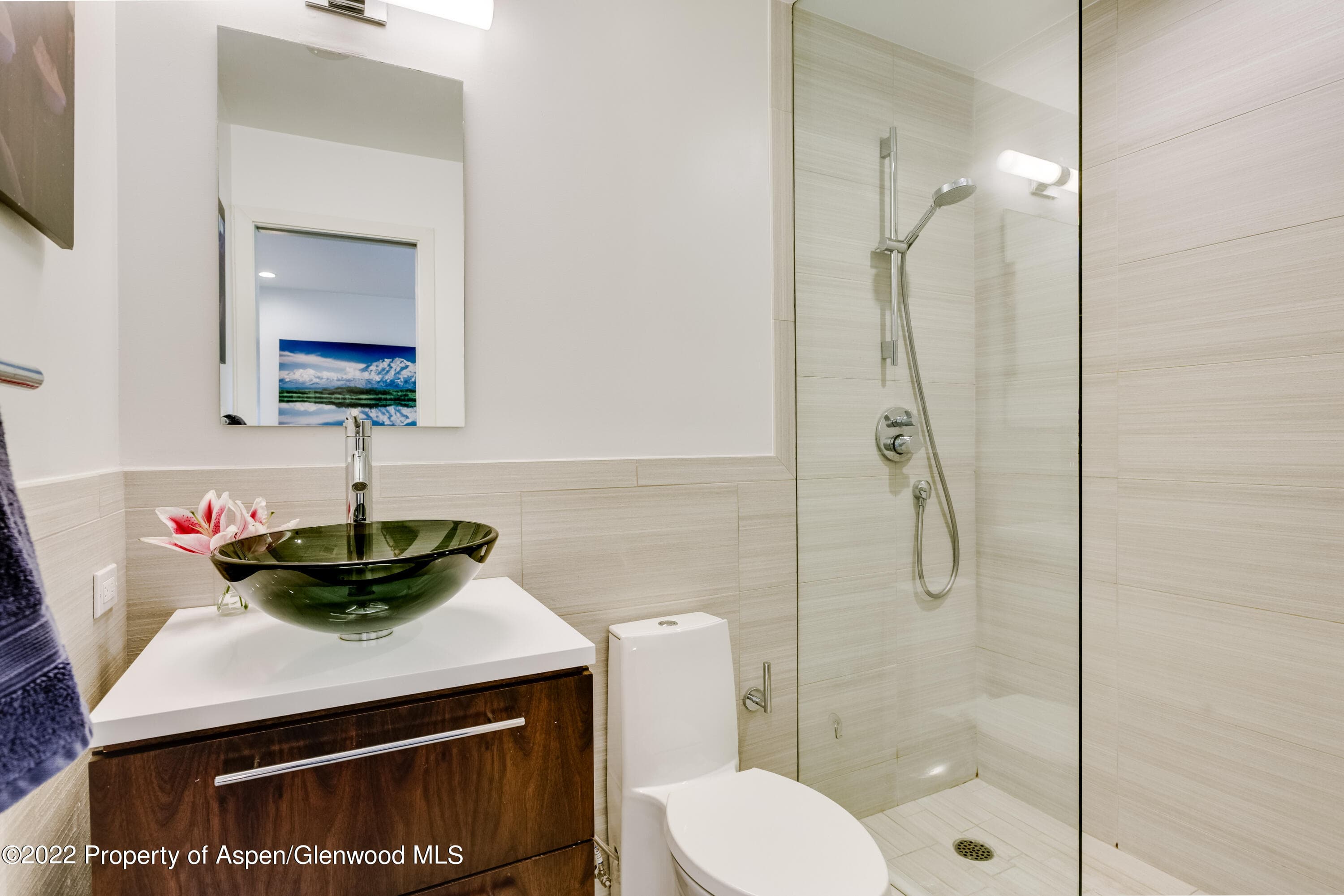 700 W Hopkins Avenue 6, Aspen, CO 81611 - Photo 10