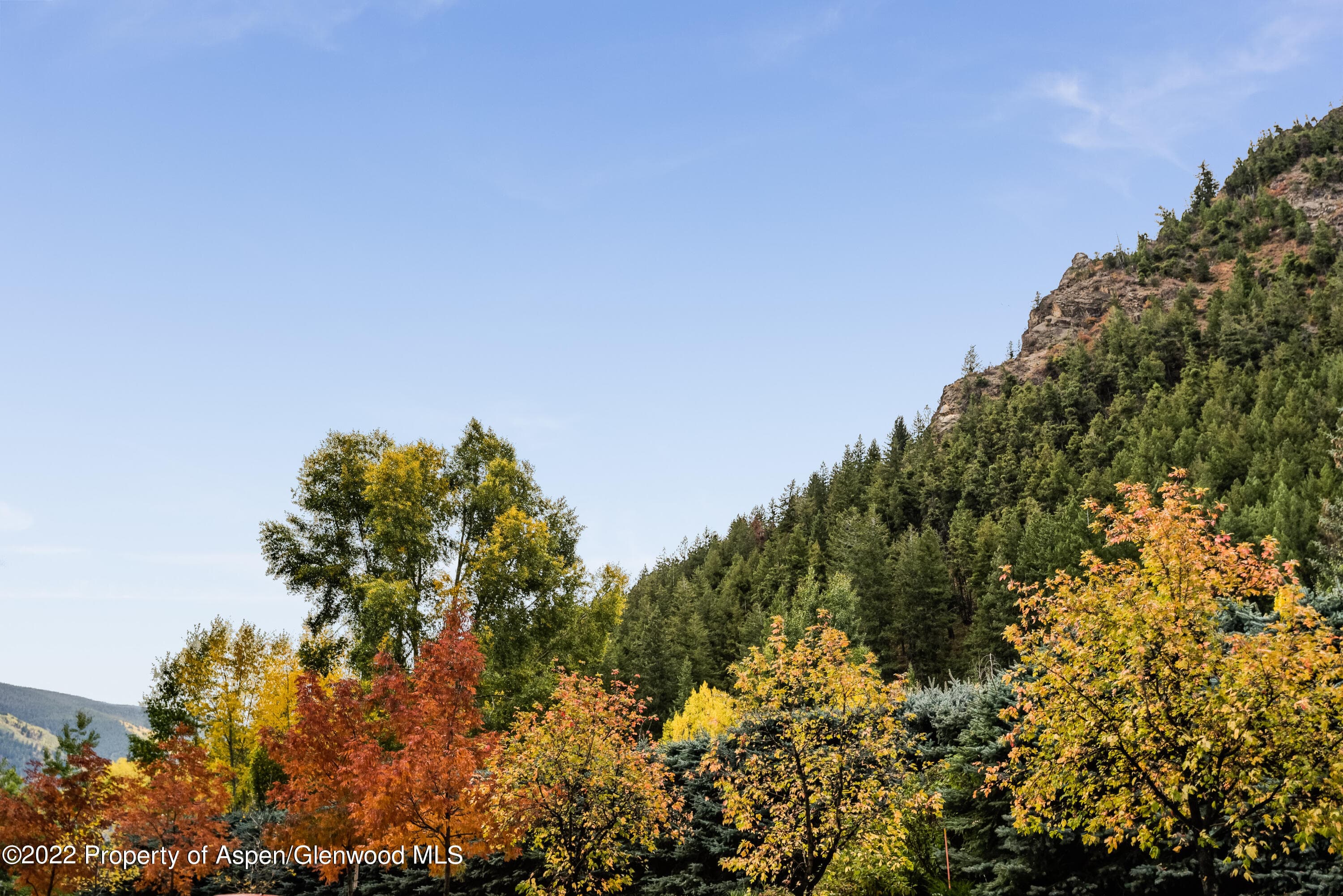 700 W Hopkins Avenue 6, Aspen, CO 81611 - Photo 13