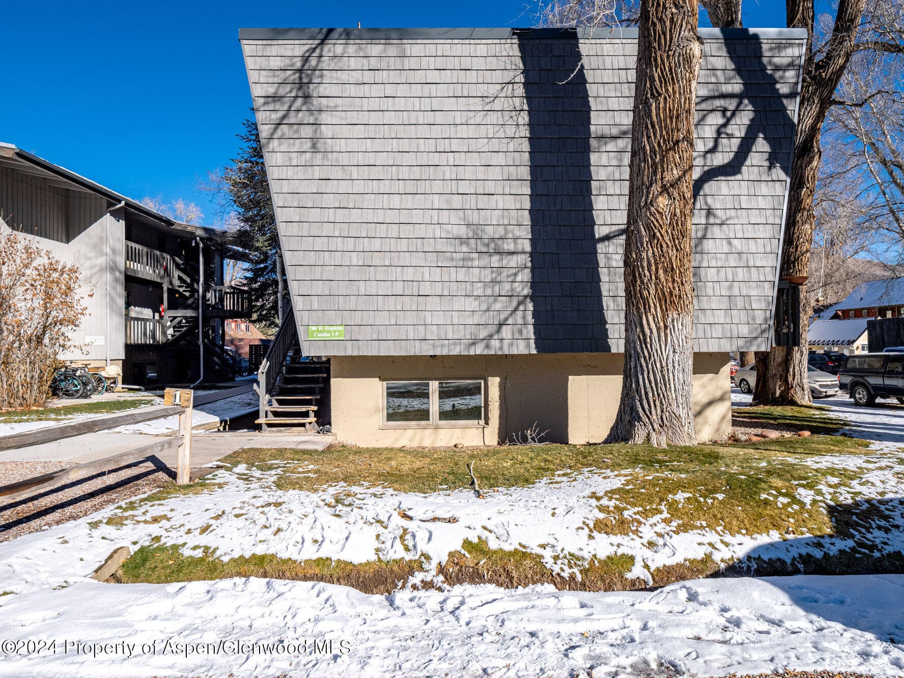 700 W Hopkins Avenue 6, Aspen, CO 81611 - Photo 12