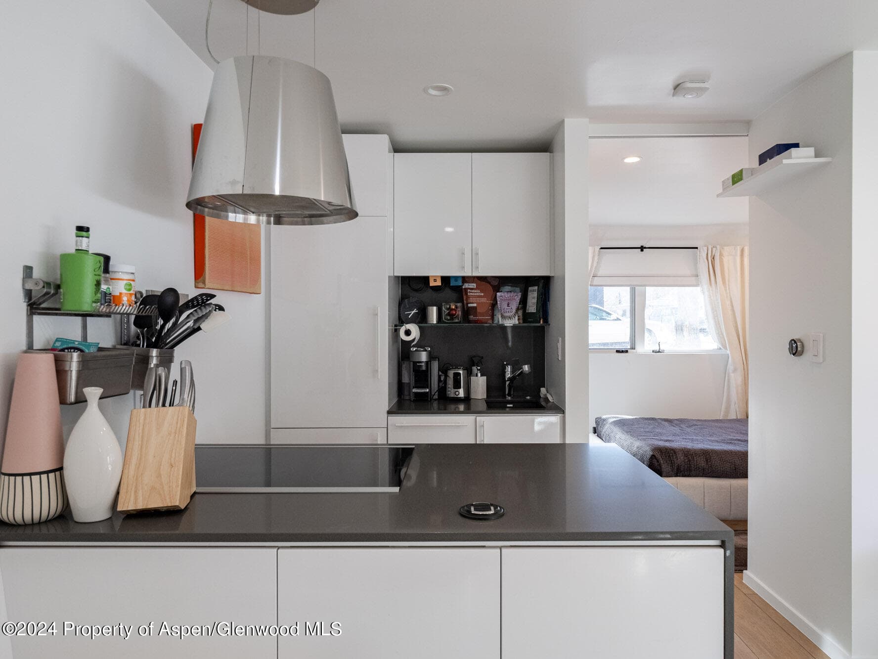 700 W Hopkins Avenue 6, Aspen, CO 81611 - Photo 6