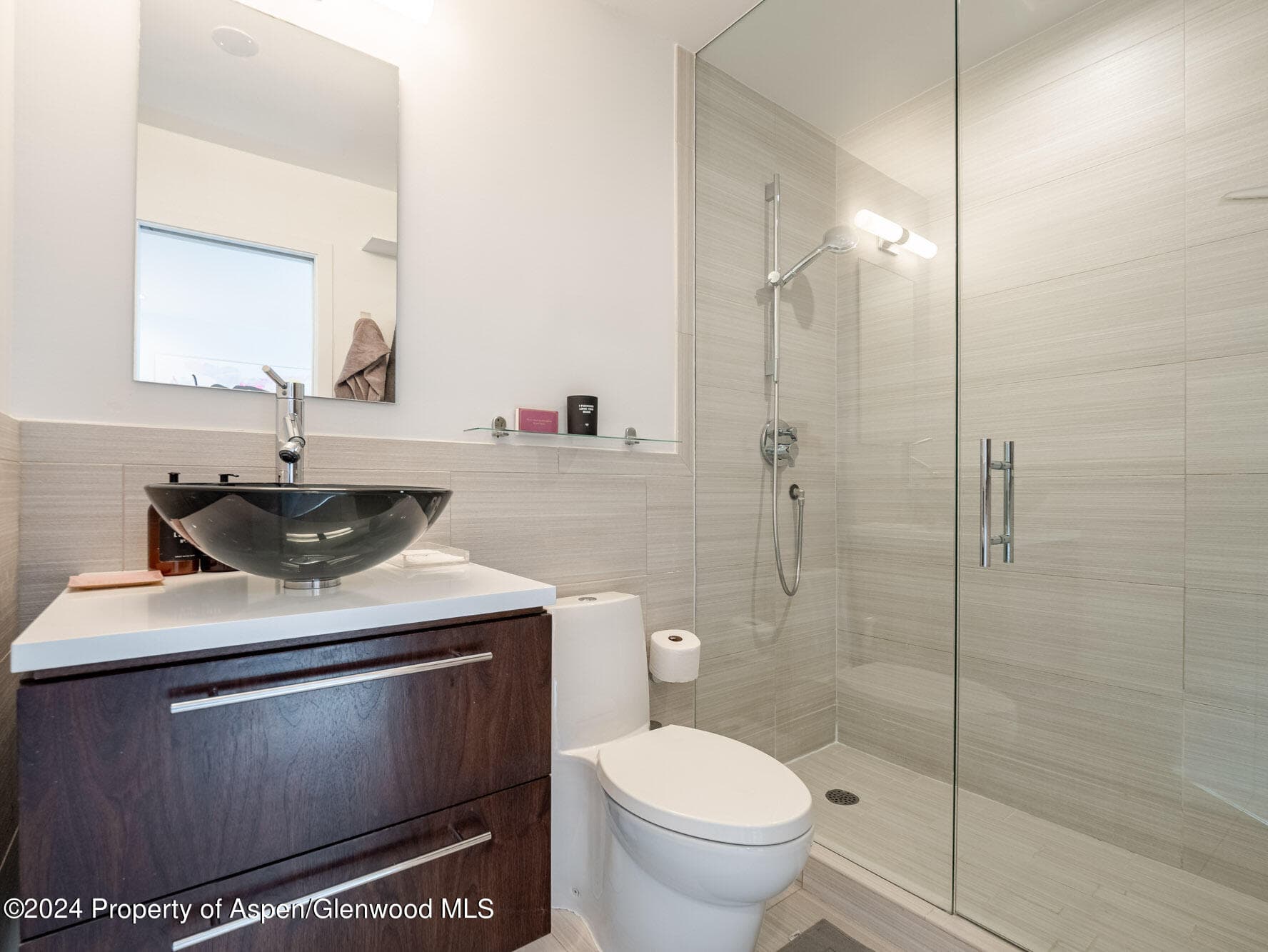 700 W Hopkins Avenue 6, Aspen, CO 81611 - Photo 11
