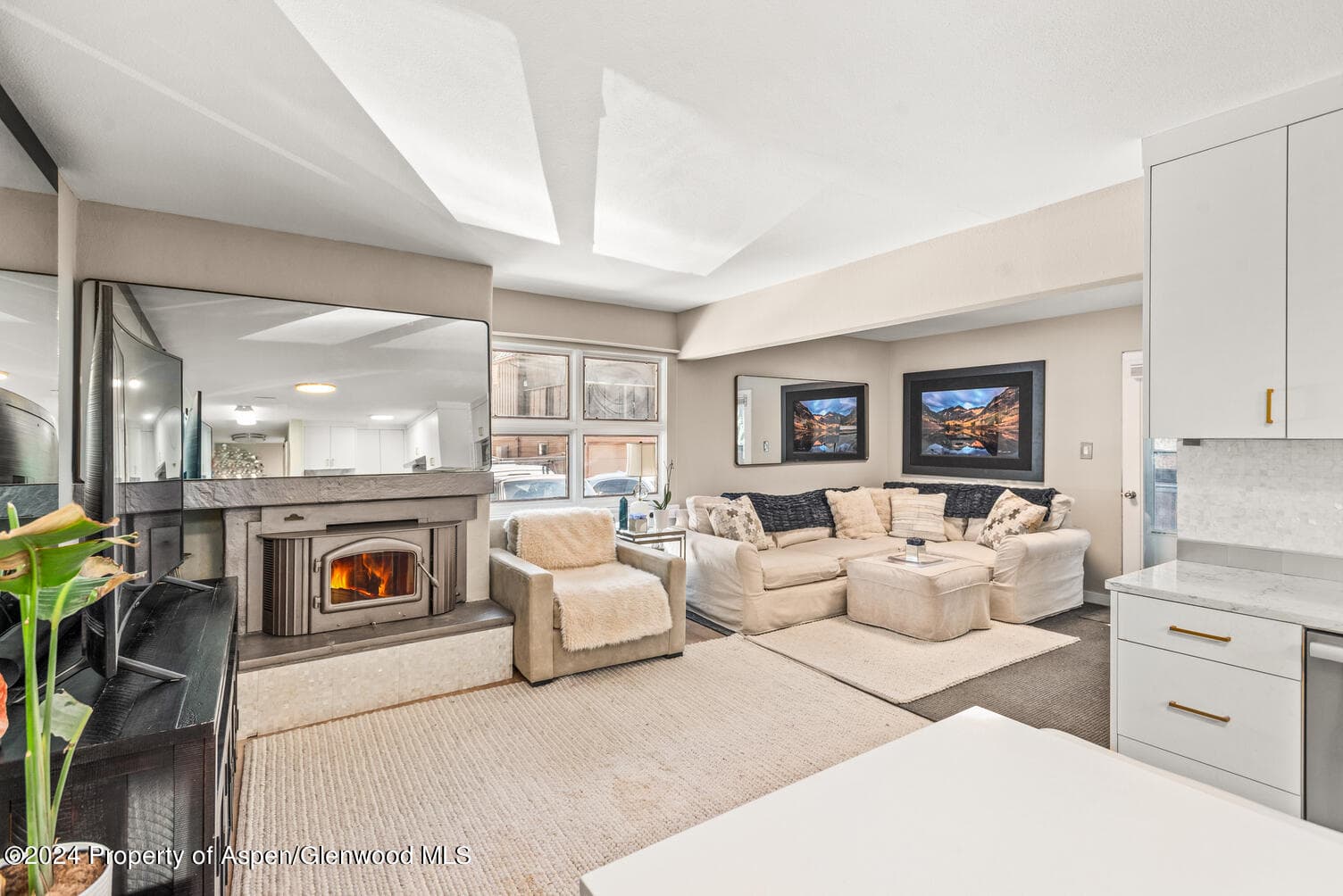 250 S Original Street E, Aspen, CO 81611