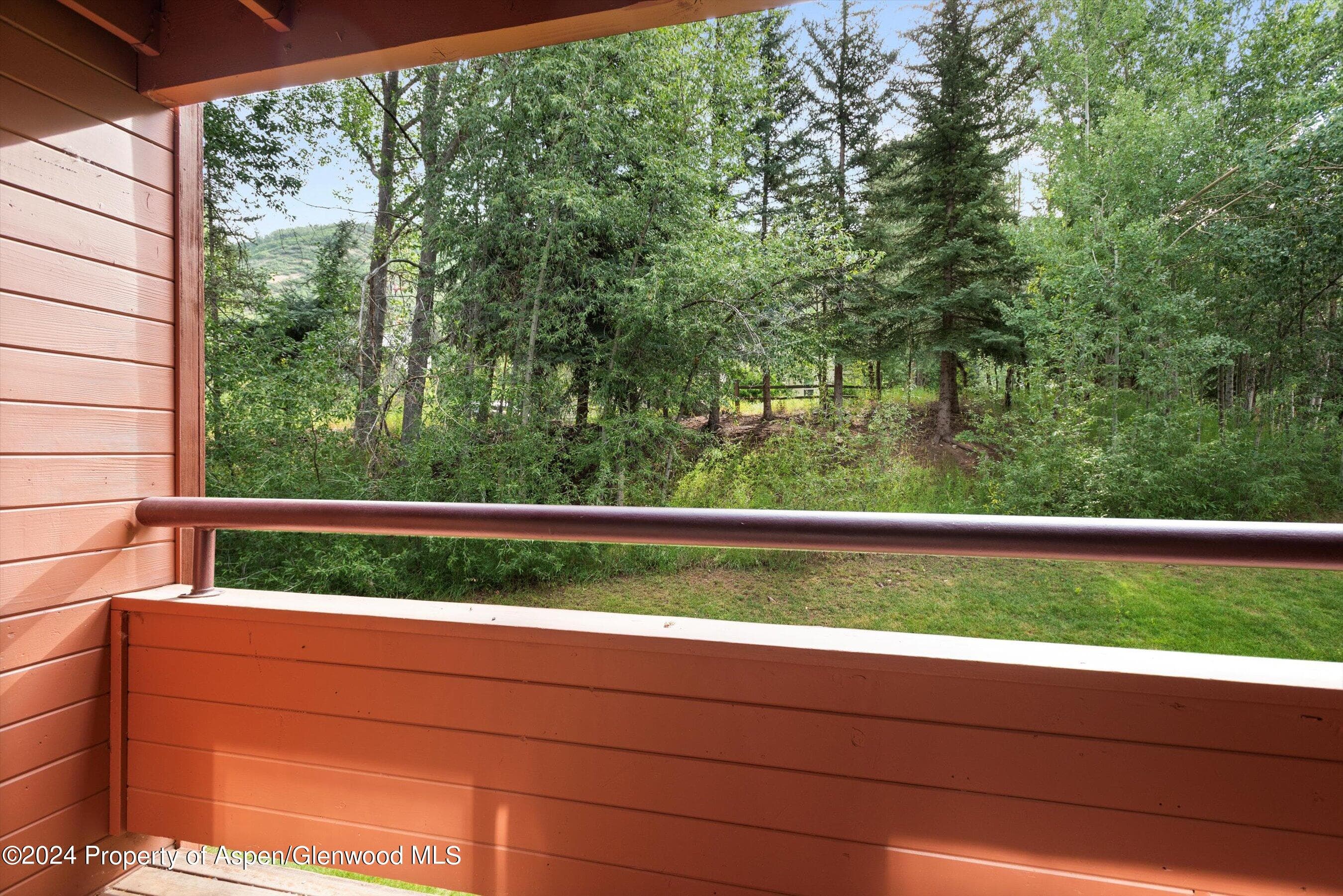 1326 Vine Street 1326, Aspen, CO 81611 - Photo 3