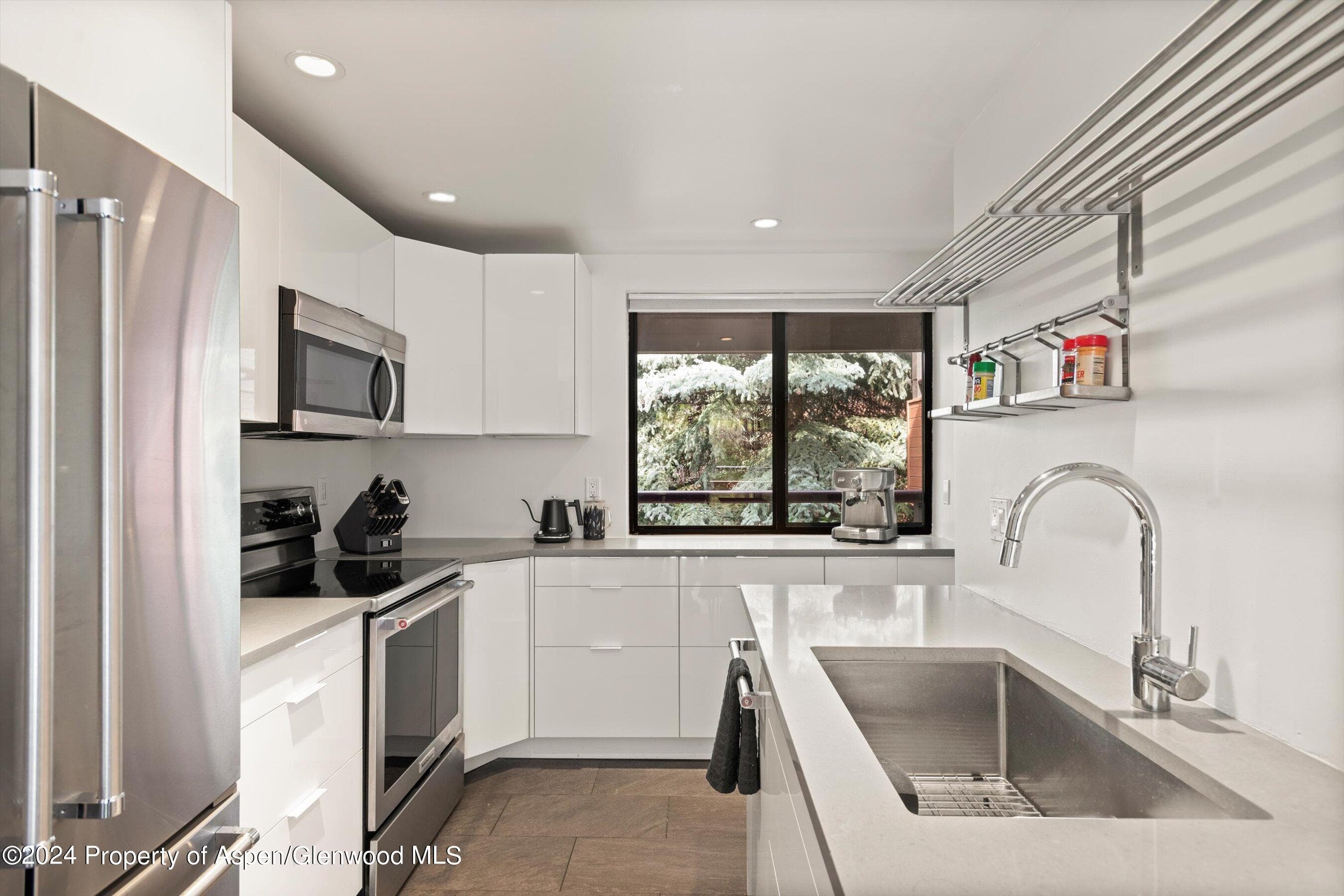 1326 Vine Street 1326, Aspen, CO 81611 - Photo 6