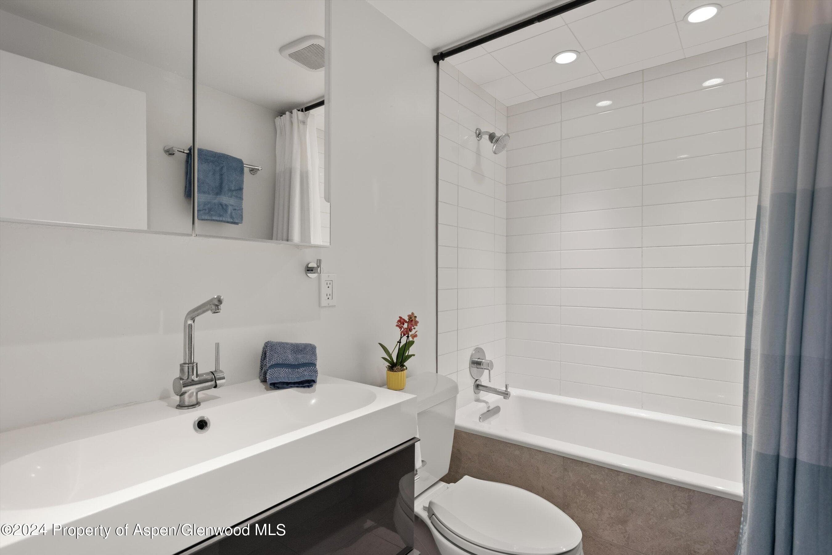 1326 Vine Street 1326, Aspen, CO 81611 - Photo 9
