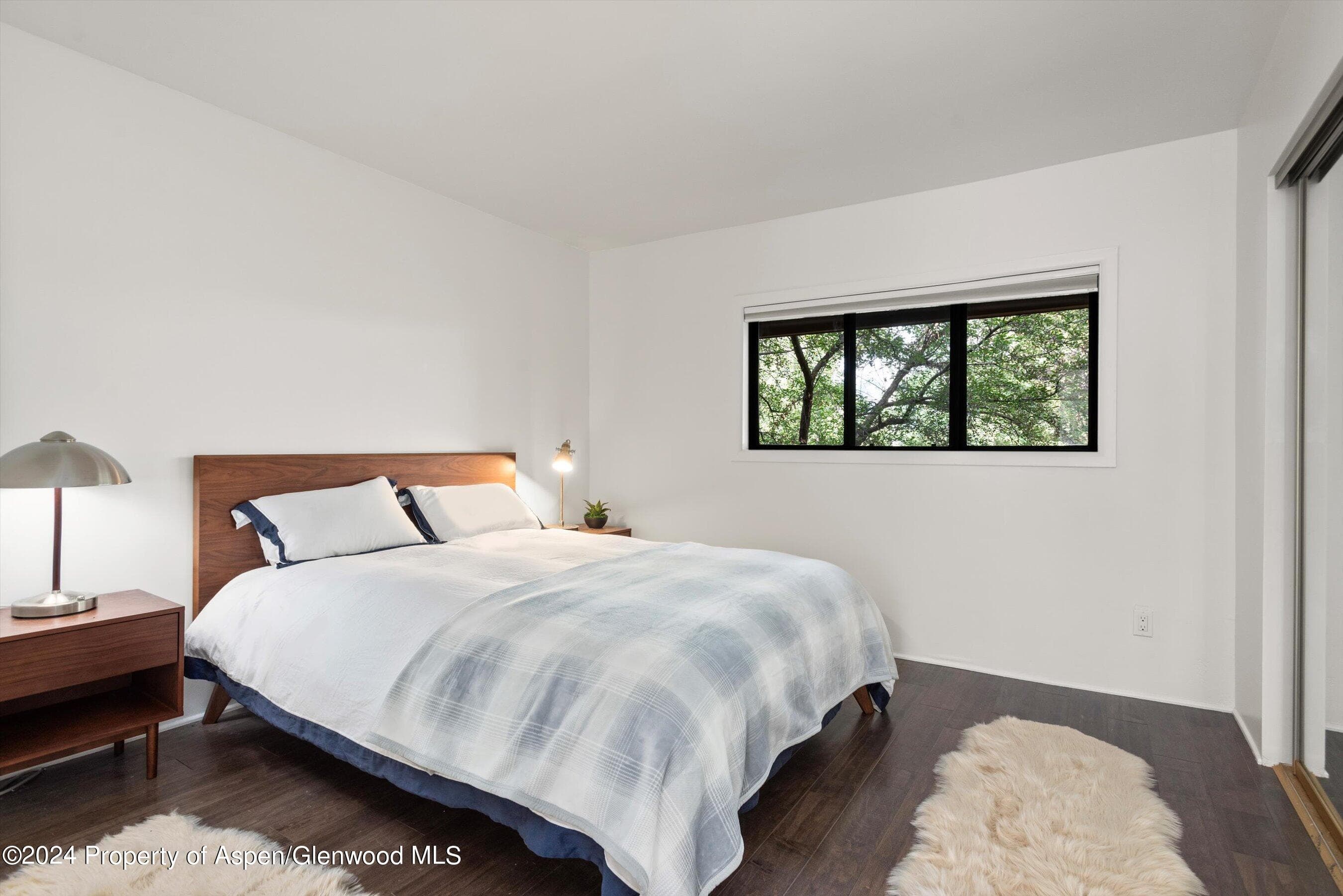 1326 Vine Street 1326, Aspen, CO 81611 - Photo 10