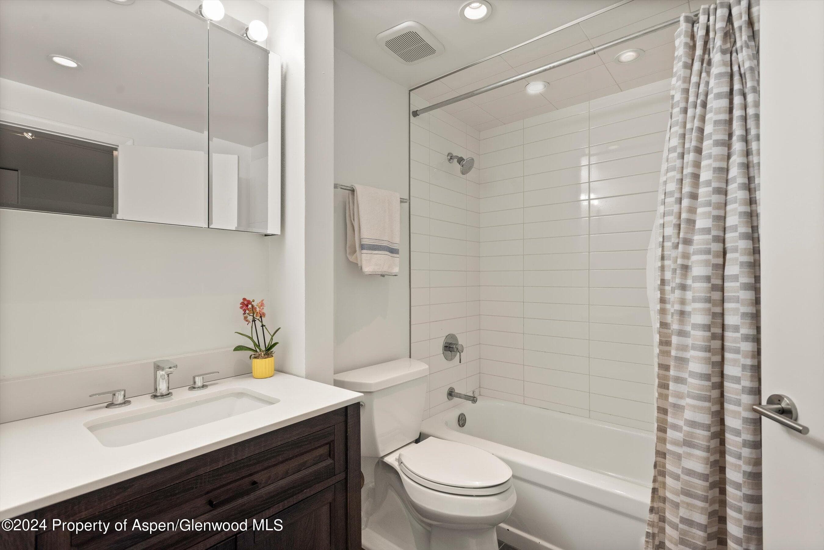 1326 Vine Street 1326, Aspen, CO 81611 - Photo 12