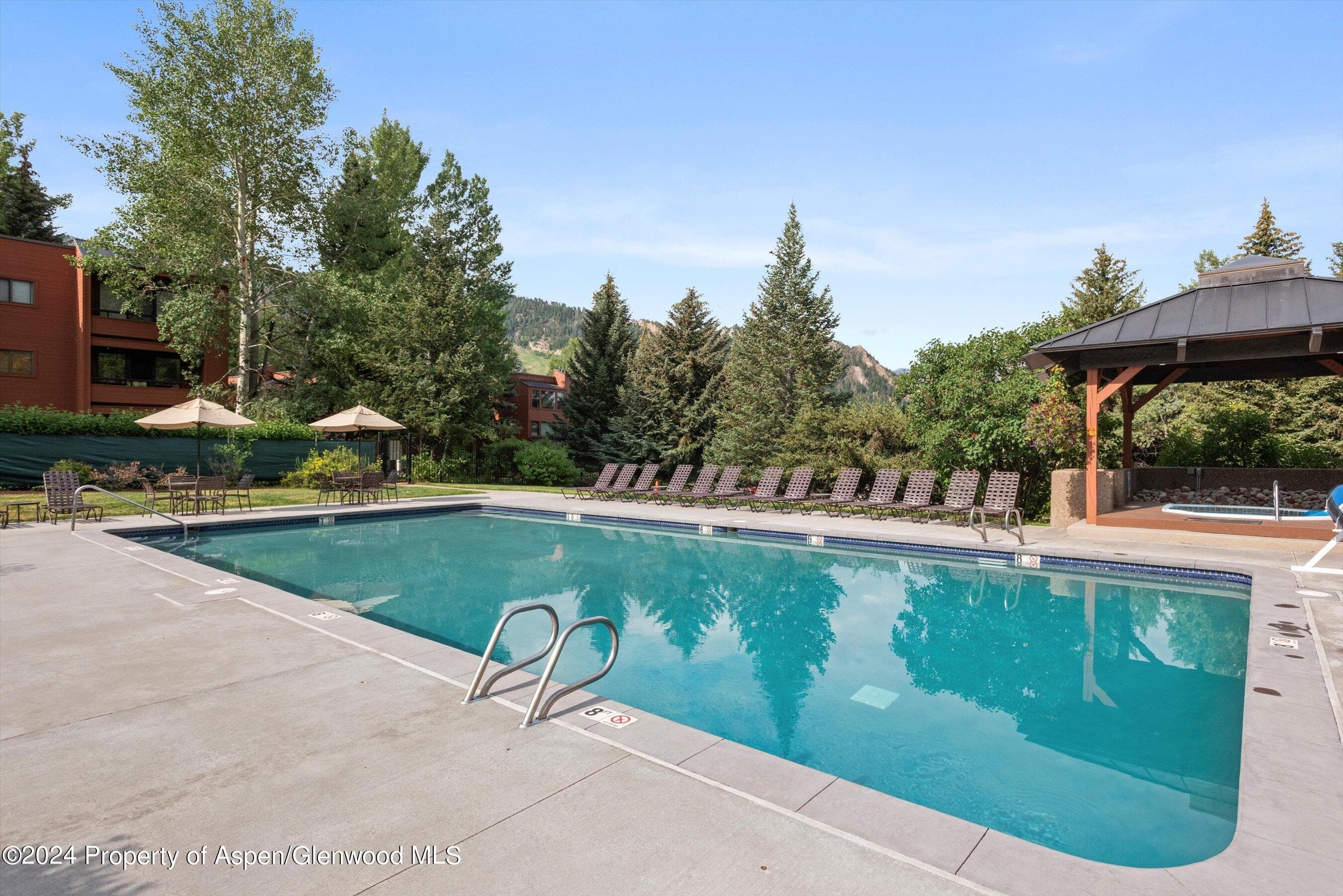 1326 Vine Street 1326, Aspen, CO 81611 - Photo 14