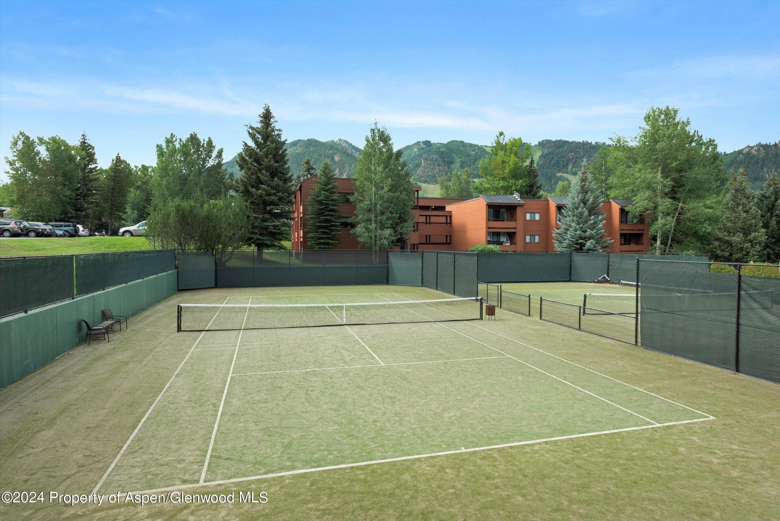 1326 Vine Street 1326, Aspen, CO 81611 - Photo 15