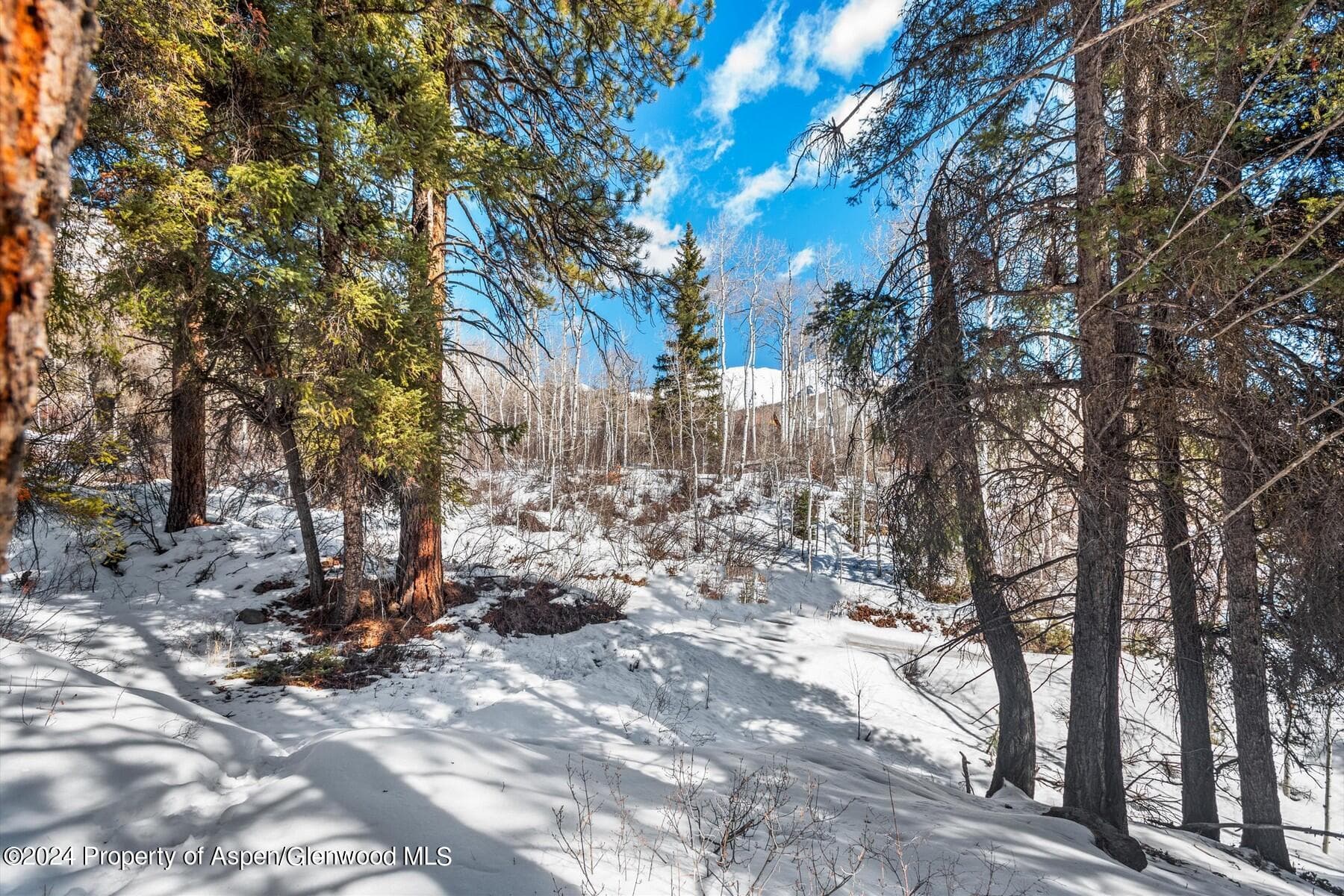 TBD W Village Drive Lot A-1, Marble, CO 81623 - Photo 8