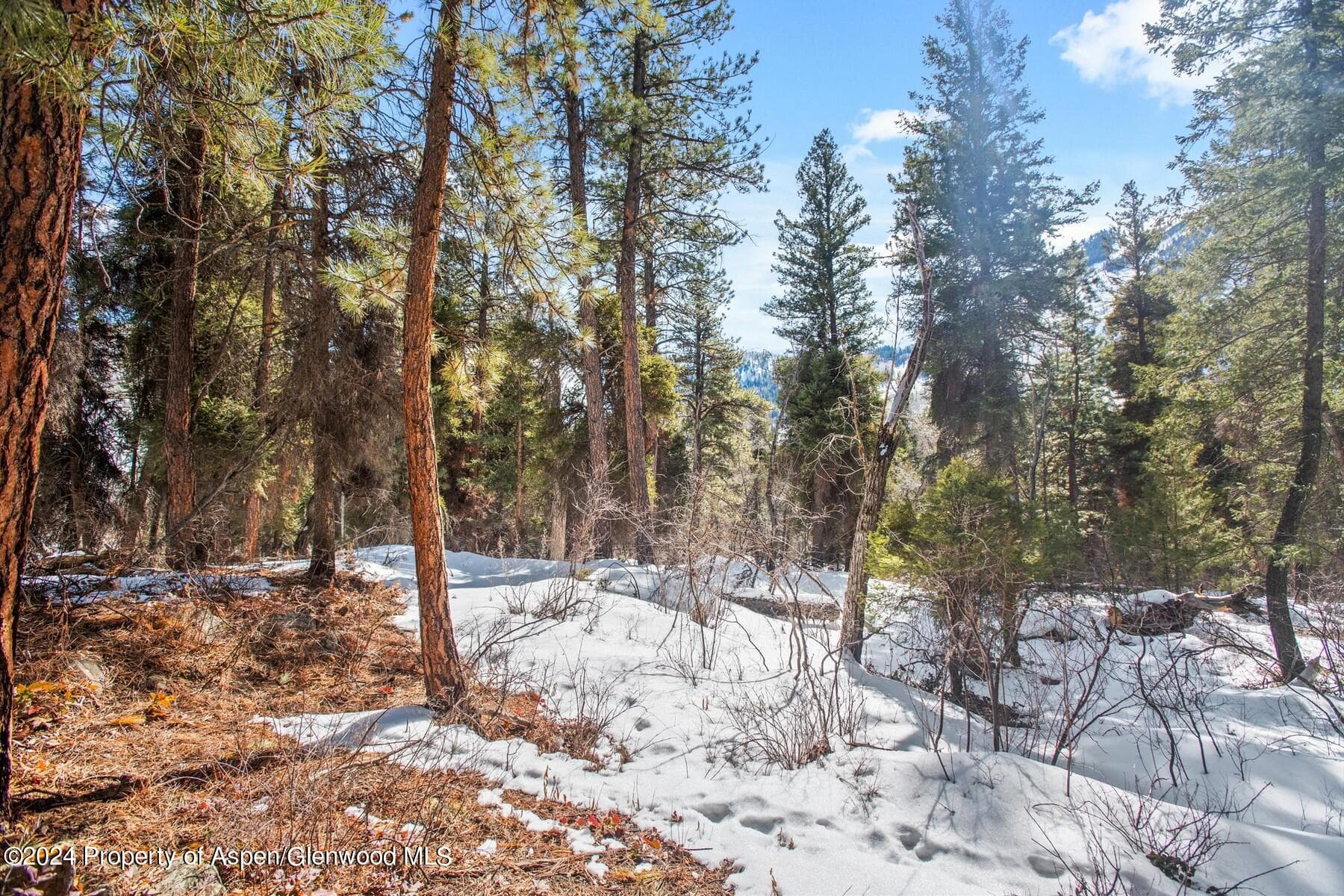 TBD W Village Drive Lot A-1, Marble, CO 81623 - Photo 13