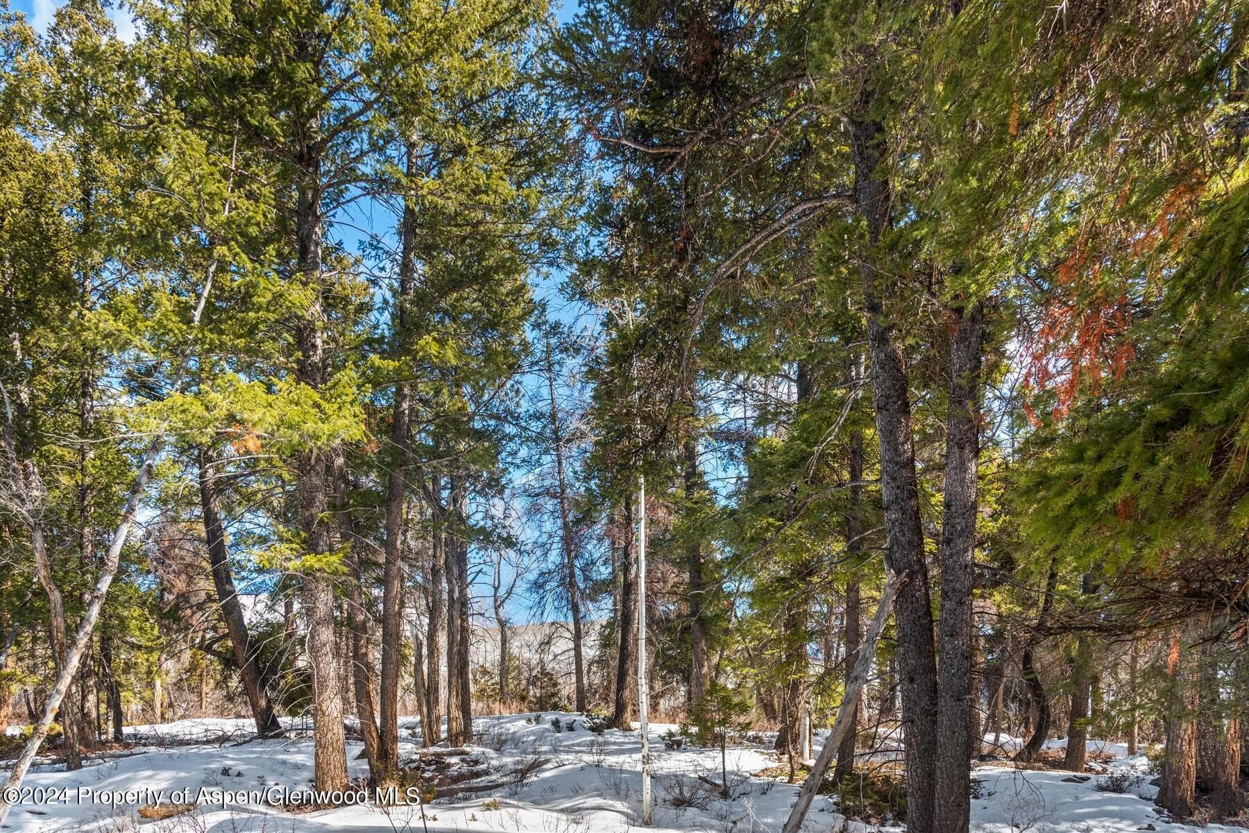 TBD W Village Drive Lot A-1, Marble, CO 81623 - Photo 14