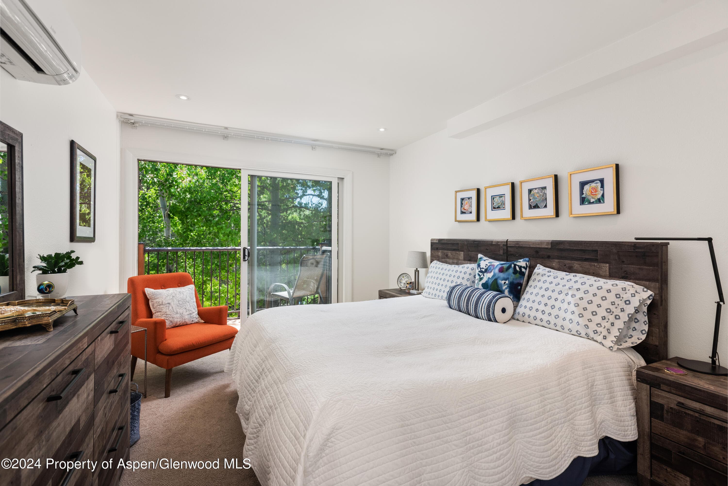 205 E Durant Avenue 3f, Aspen, CO 81611 - Photo 7