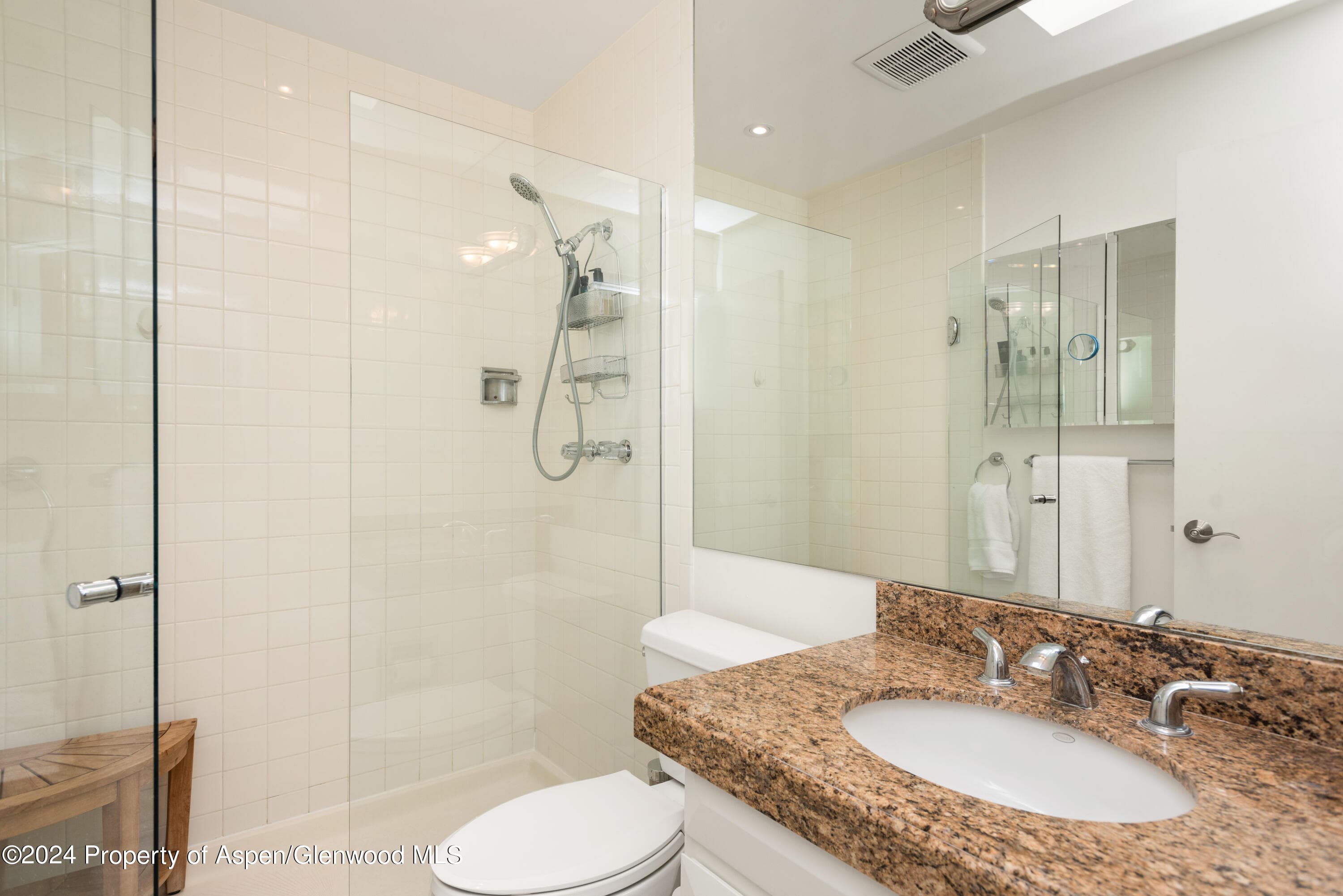205 E Durant Avenue 3f, Aspen, CO 81611 - Photo 11