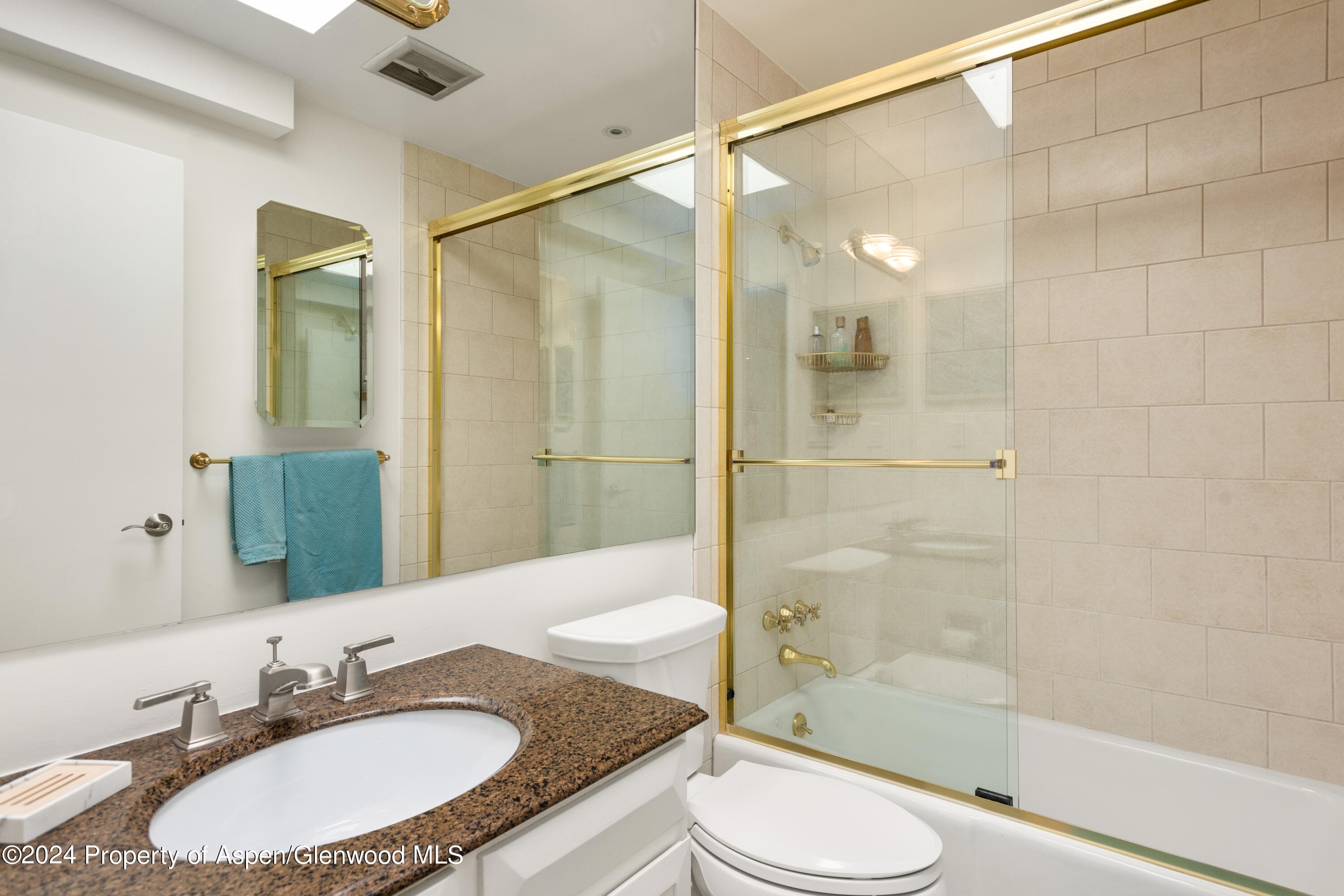 205 E Durant Avenue 3f, Aspen, CO 81611 - Photo 9