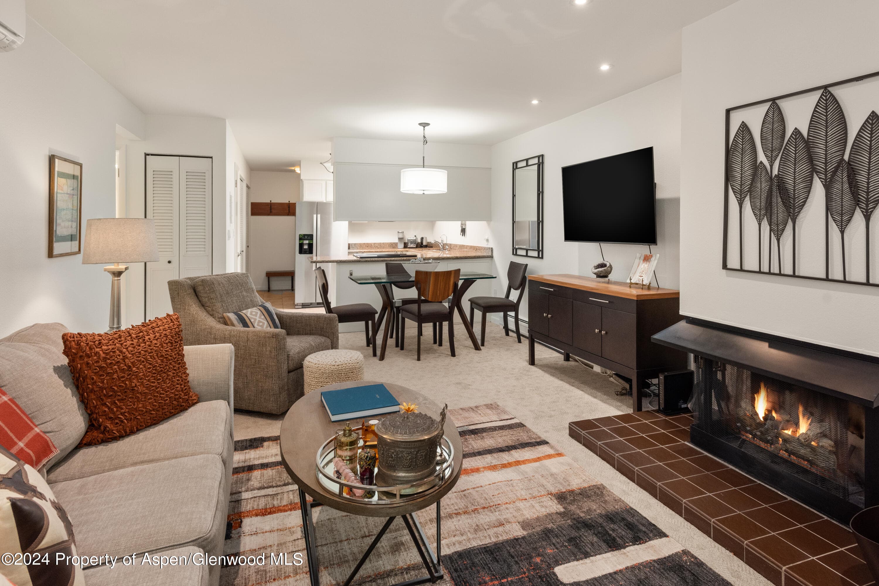 205 E Durant Avenue 3f, Aspen, CO 81611 - Photo 2