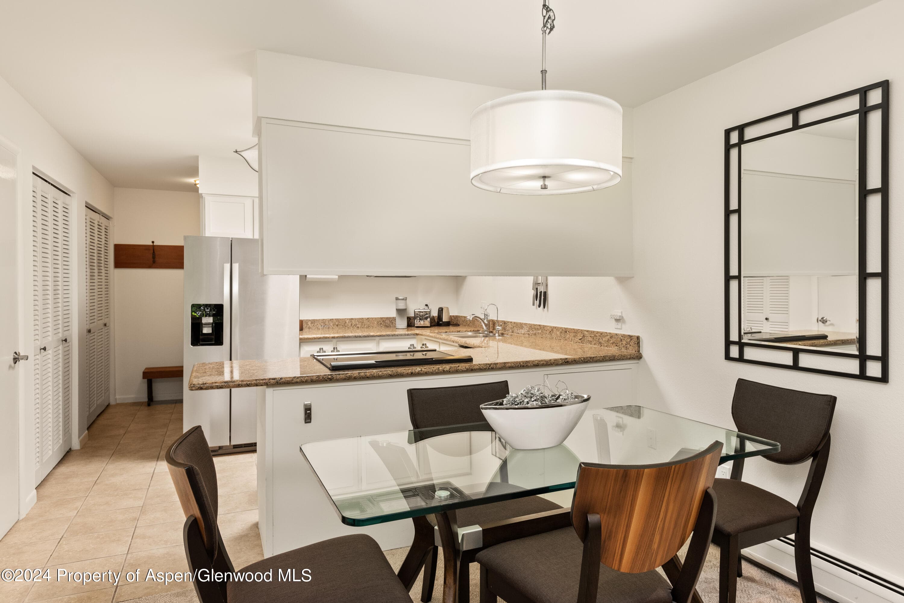 205 E Durant Avenue 3f, Aspen, CO 81611 - Photo 6