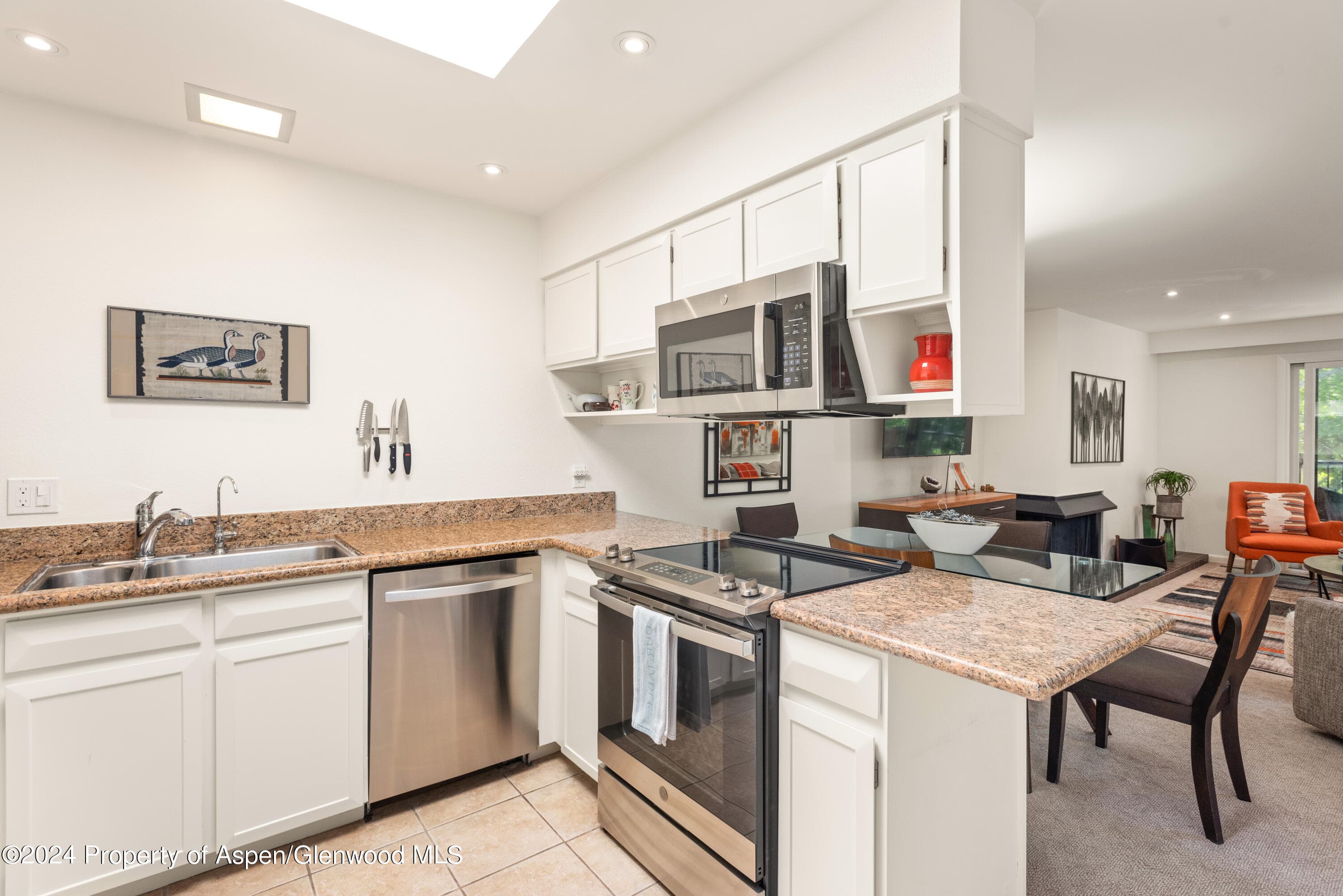 205 E Durant Avenue 3f, Aspen, CO 81611 - Photo 5