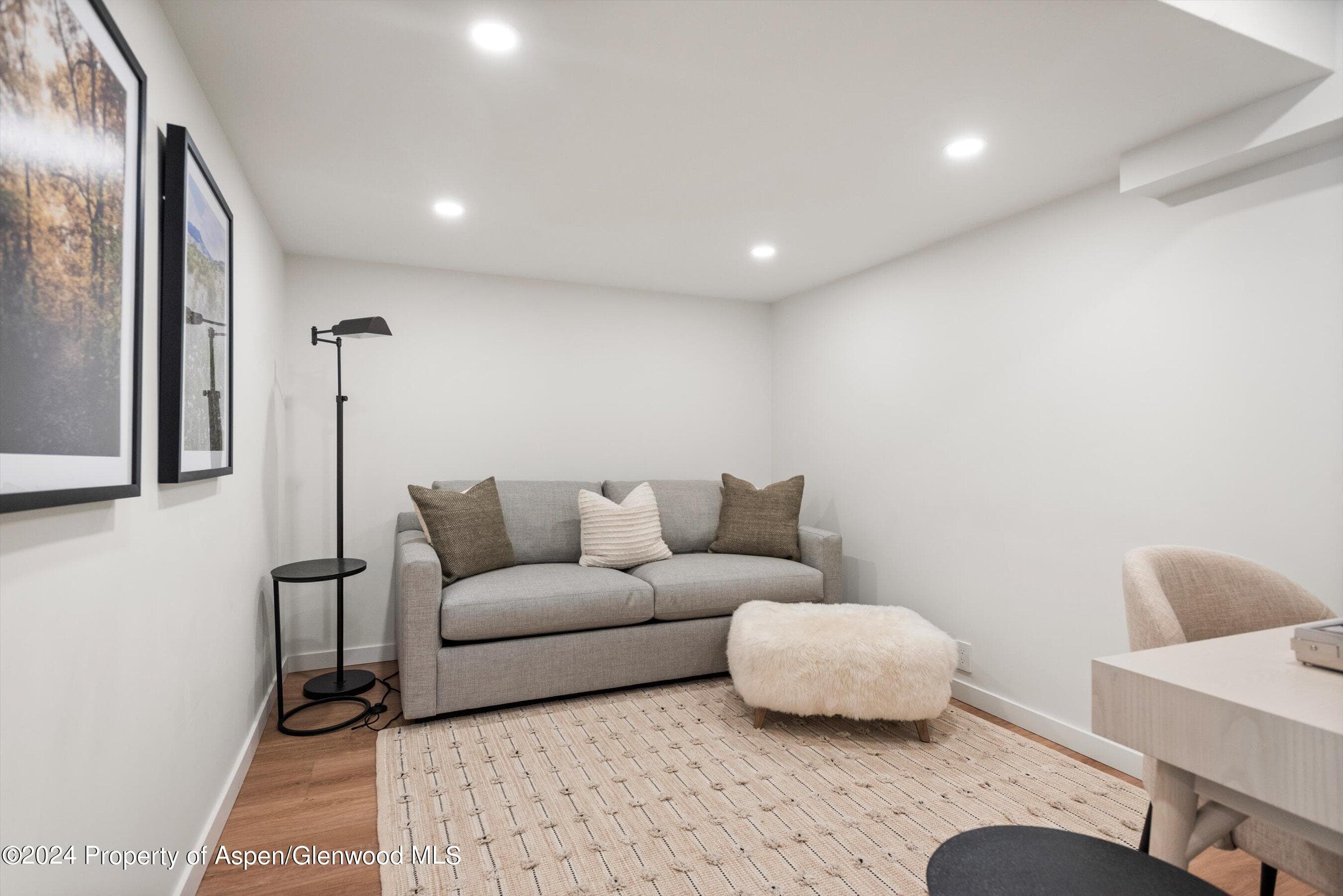 901 E Hyman Avenue 5, Aspen, CO 81611 - Photo 9