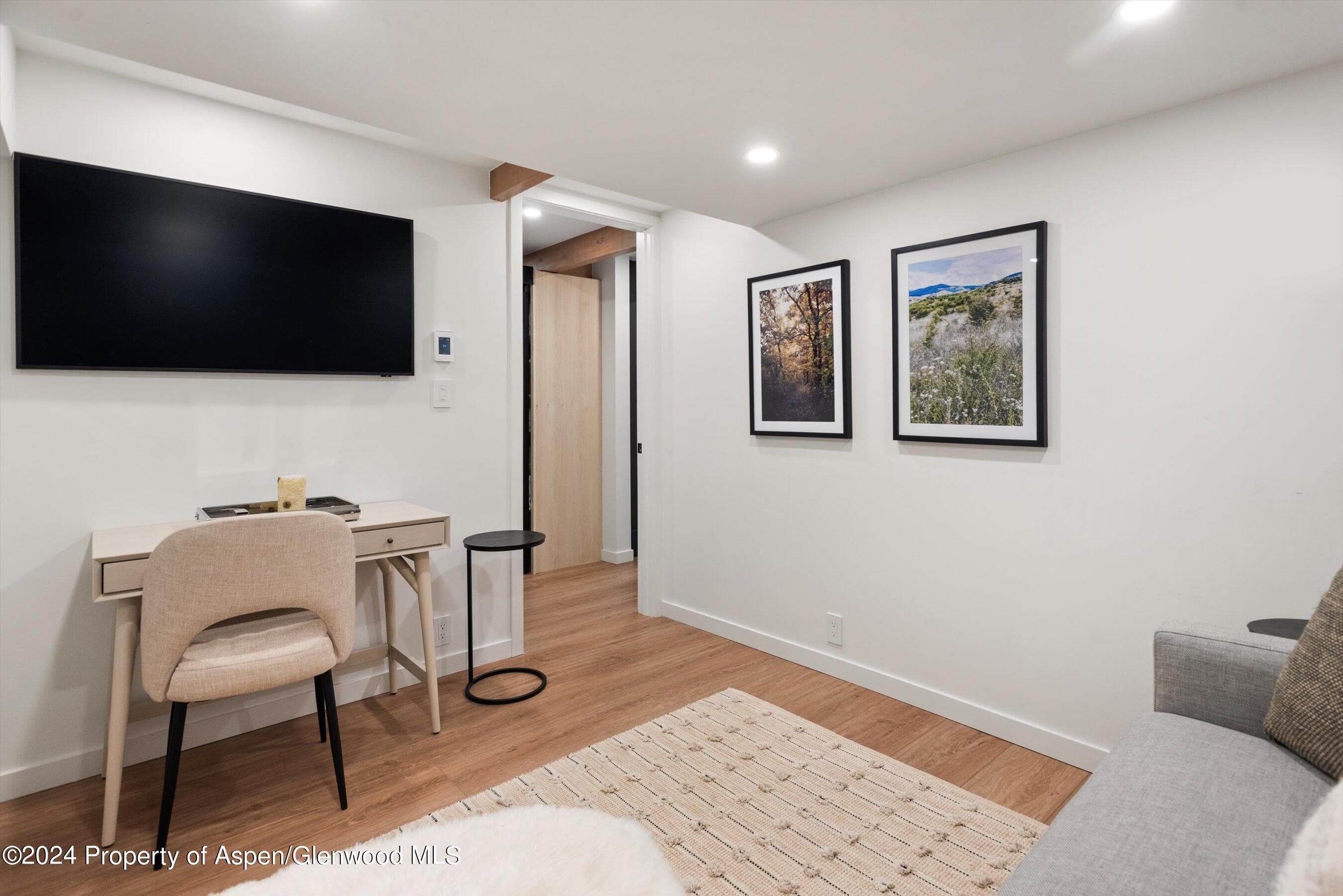 901 E Hyman Avenue 5, Aspen, CO 81611 - Photo 10
